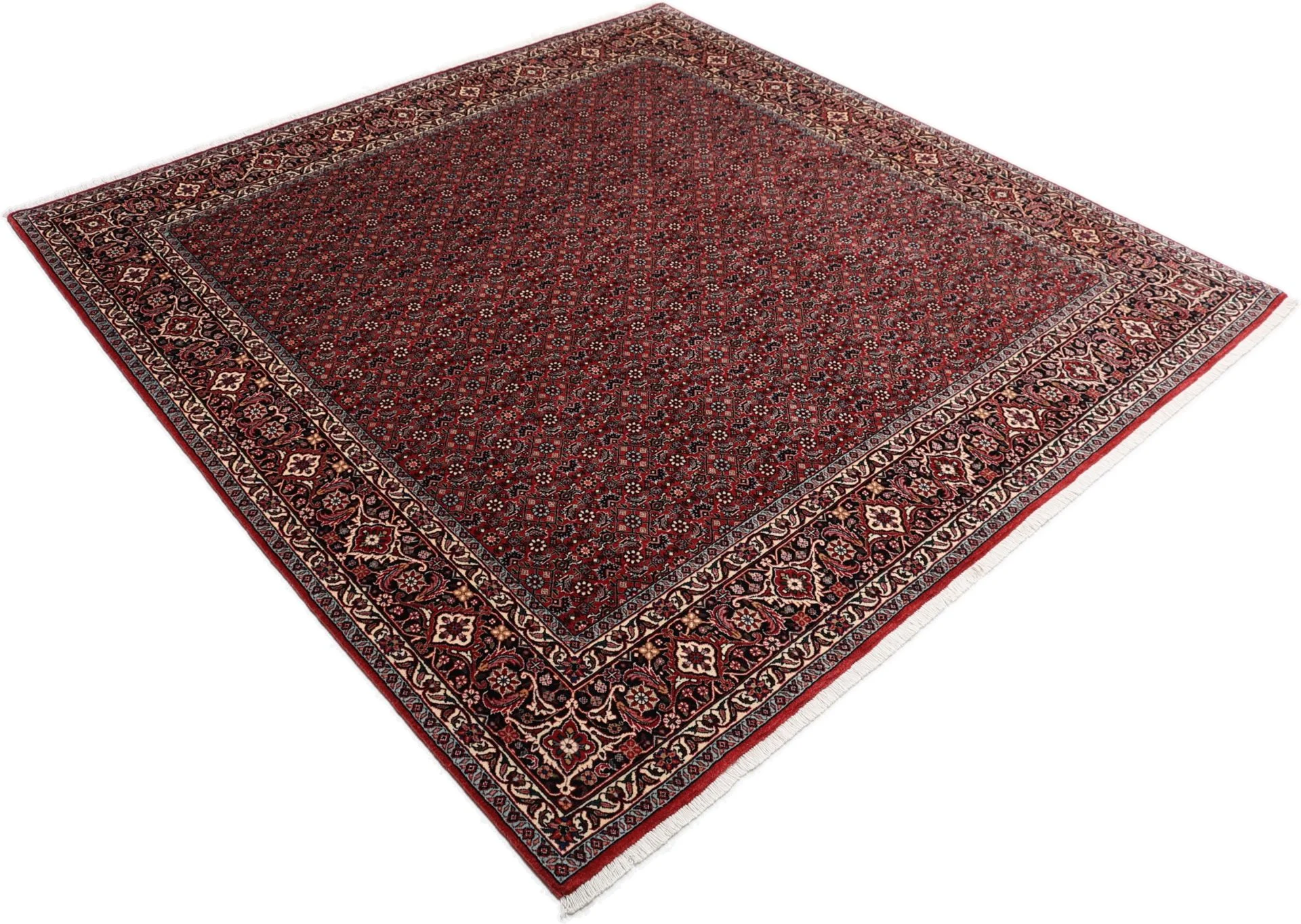 Bijar Persian Rug 203 × 215 cm, Wool, hand-knotted