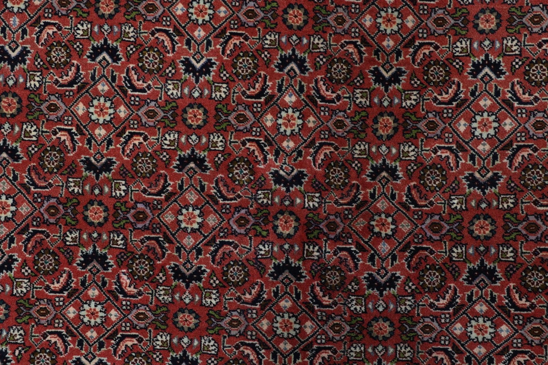 Bijar Persian Rug 178 × 250 cm, Wool, hand-knotted