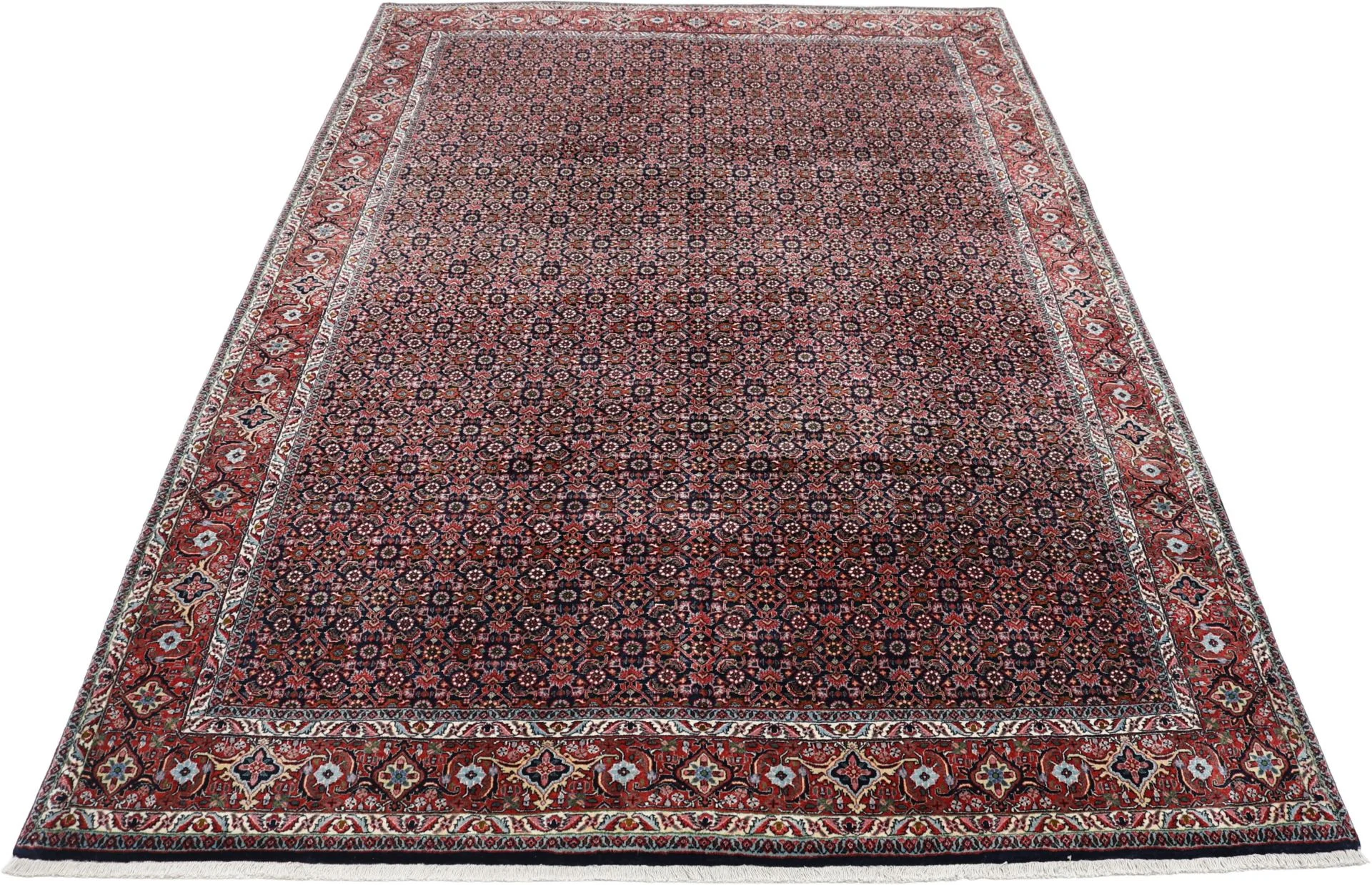Bijar Persian Rug — hand-knotted, 205 × 300 cm, Wool