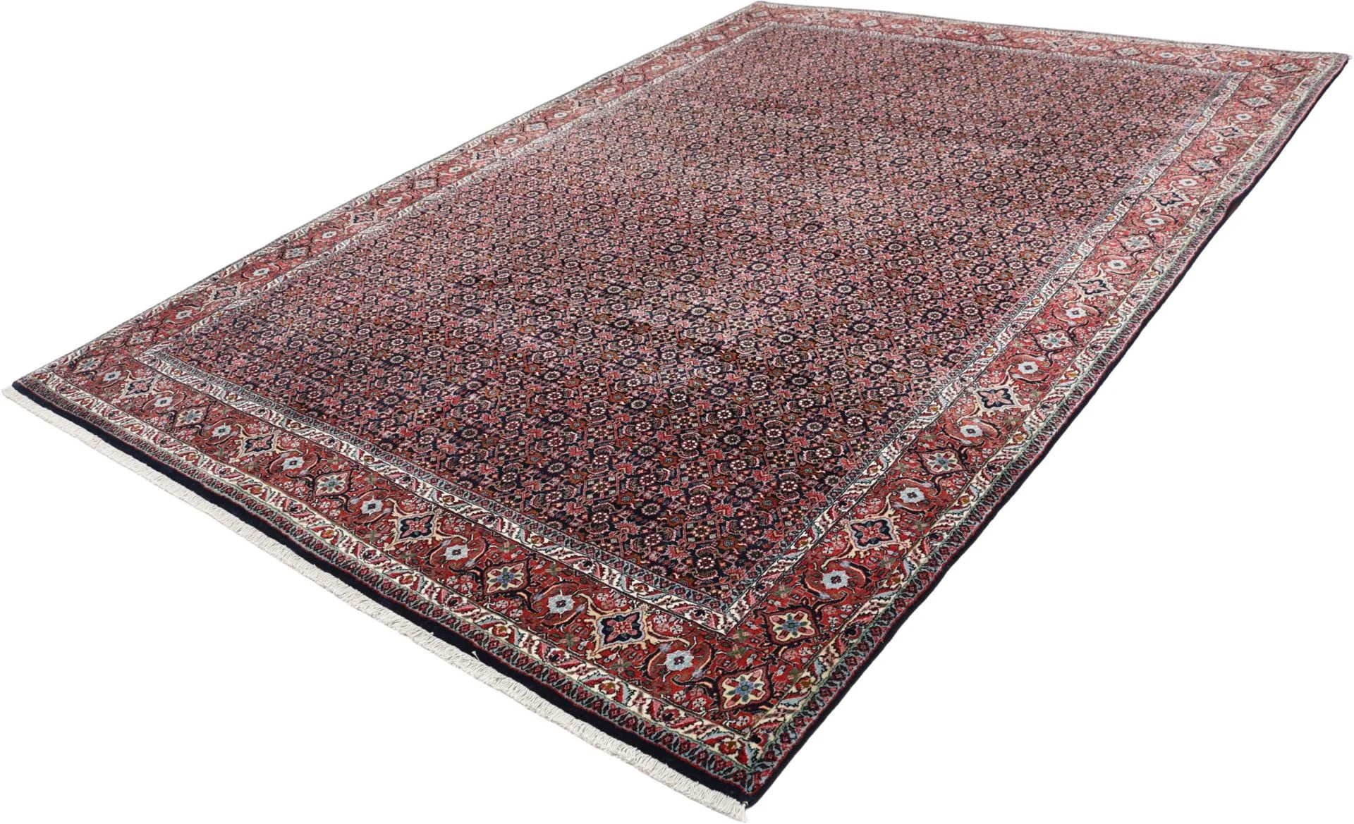 Bijar Persian Rug — hand-knotted, 205 × 300 cm, Wool