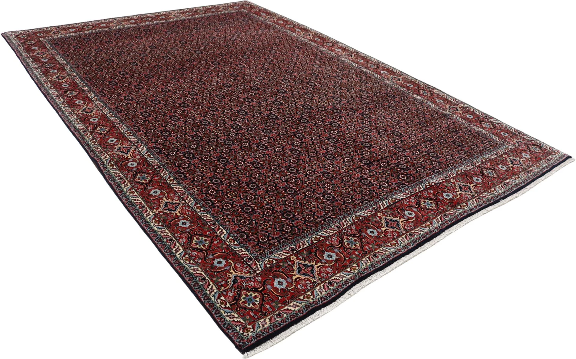 Bijar Persian Rug — hand-knotted, 205 × 300 cm, Wool