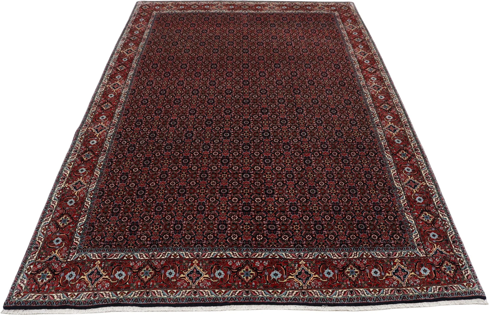 Bijar Persian Rug — hand-knotted, 205 × 300 cm, Wool