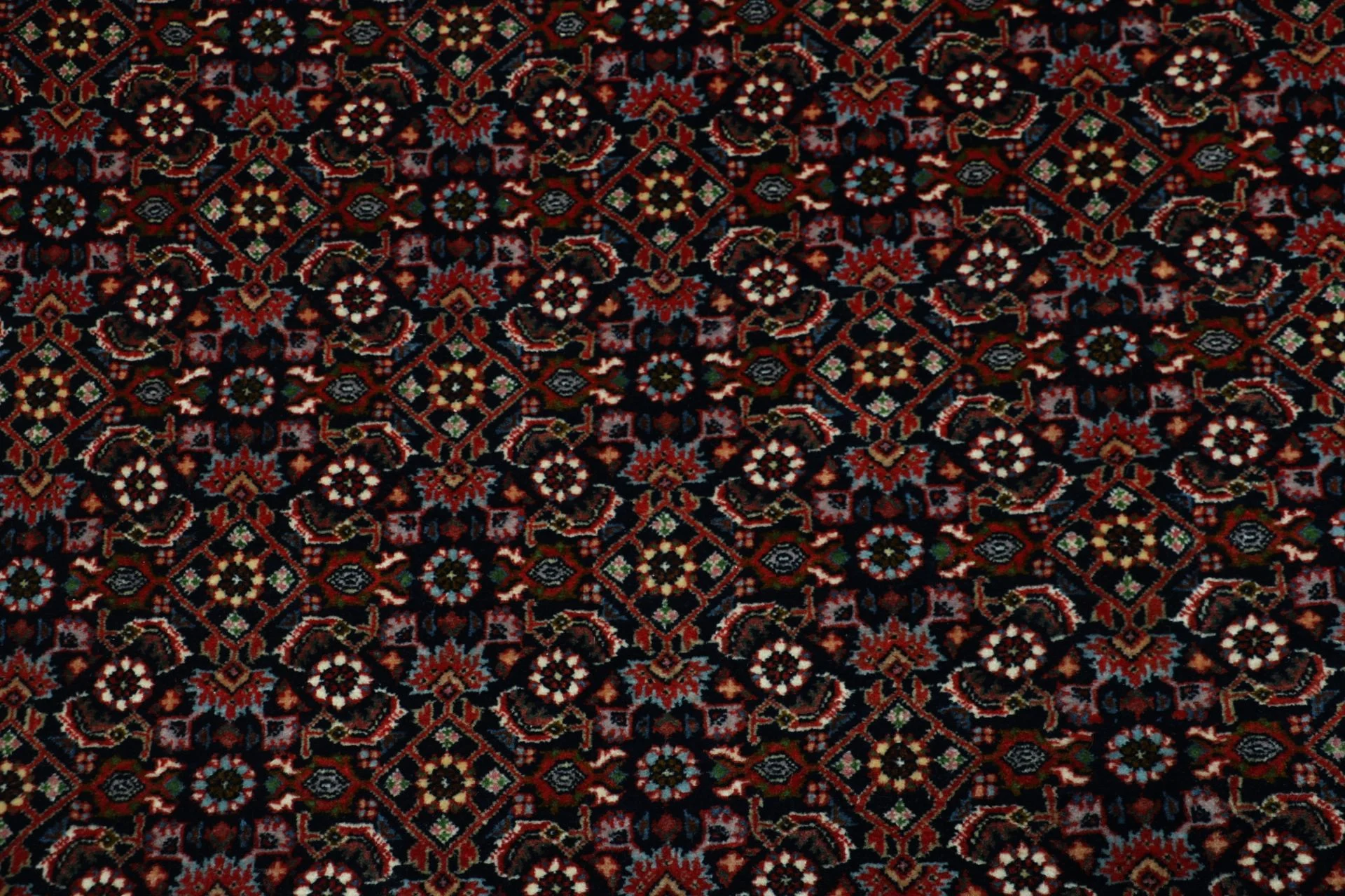 Bijar Persian Rug — hand-knotted, 205 × 300 cm, Wool