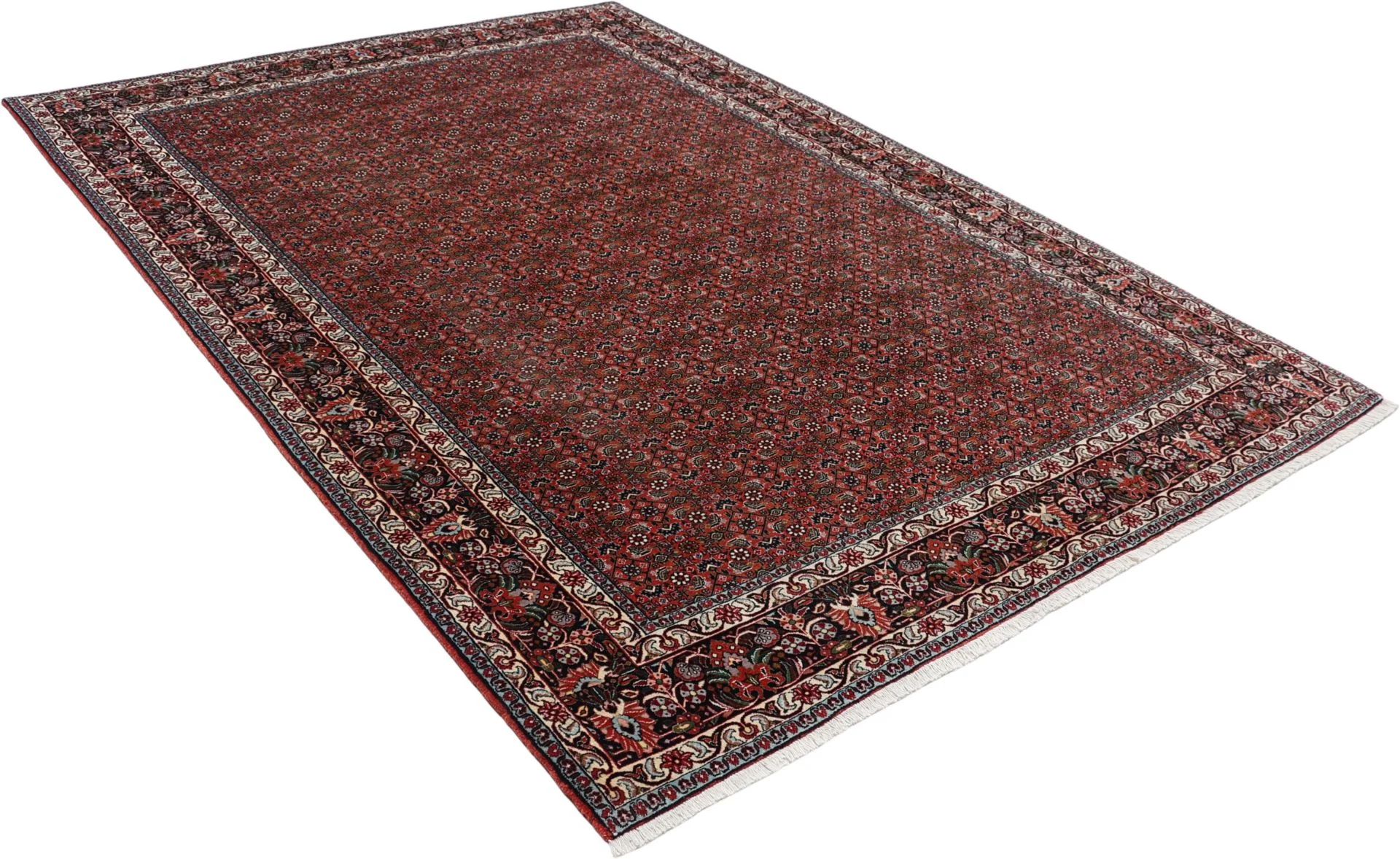 Hand-Knotted Wool Bijar Persian Rug, 206 × 298 cm