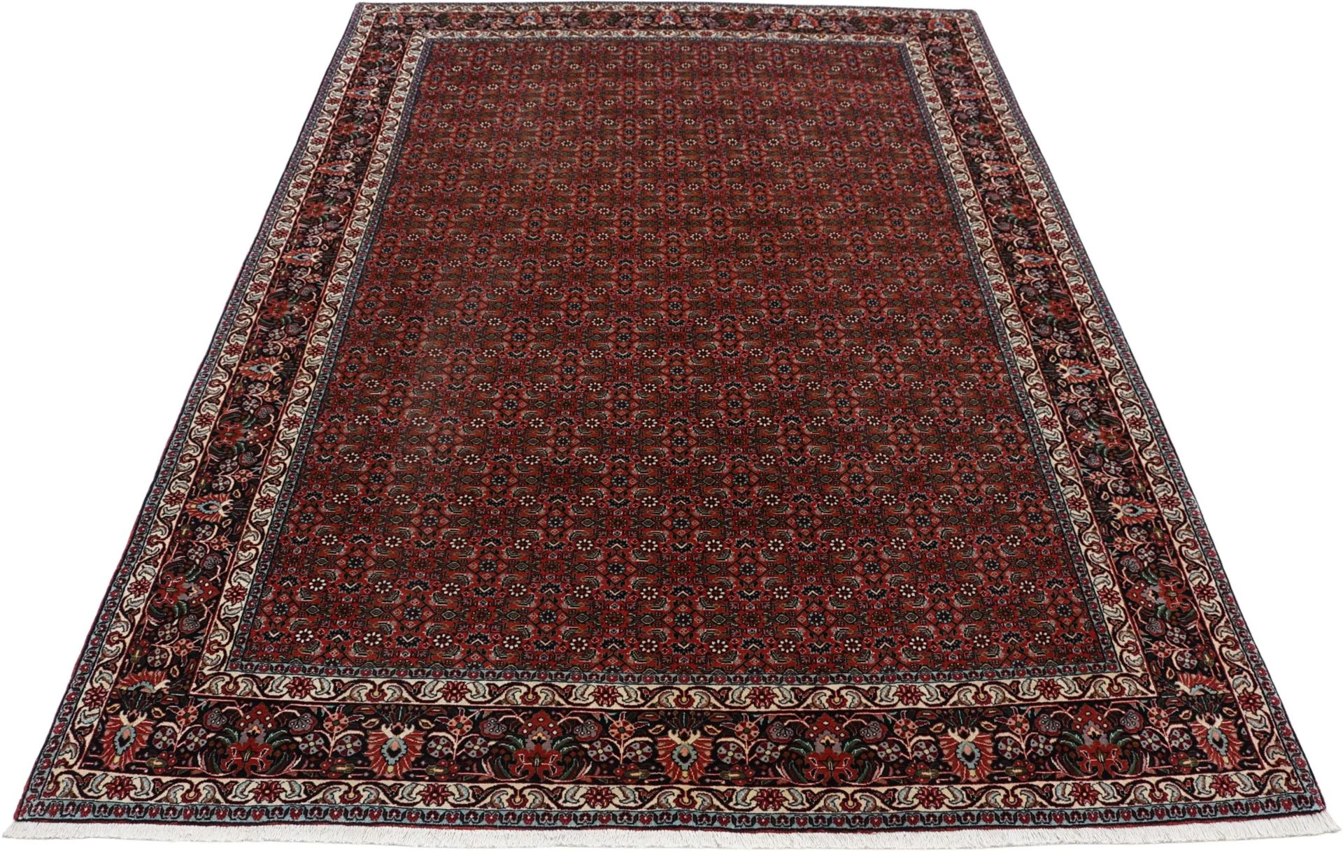 Hand-Knotted Wool Bijar Persian Rug, 206 × 298 cm