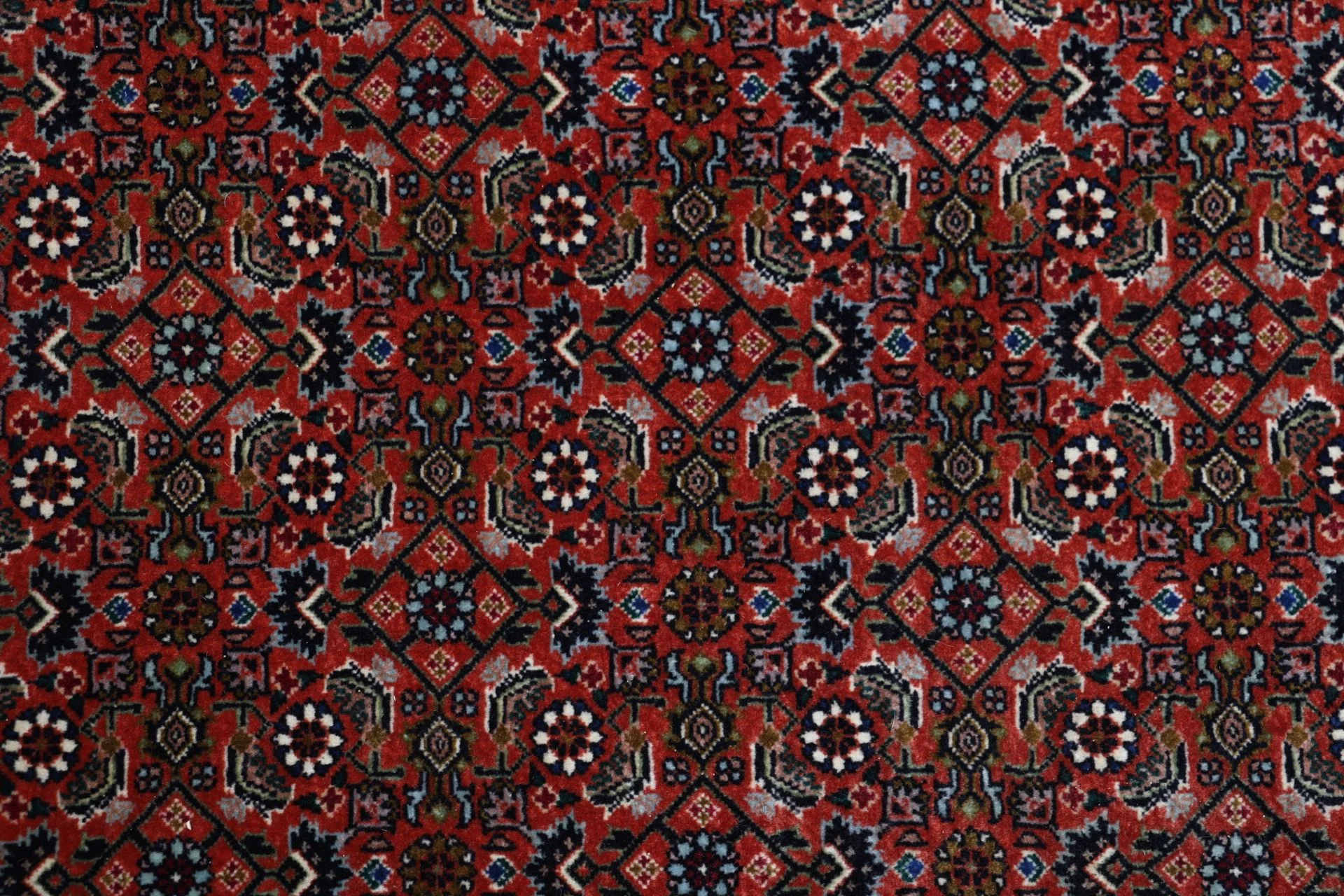 Hand-Knotted Wool Bijar Persian Rug, 206 × 298 cm