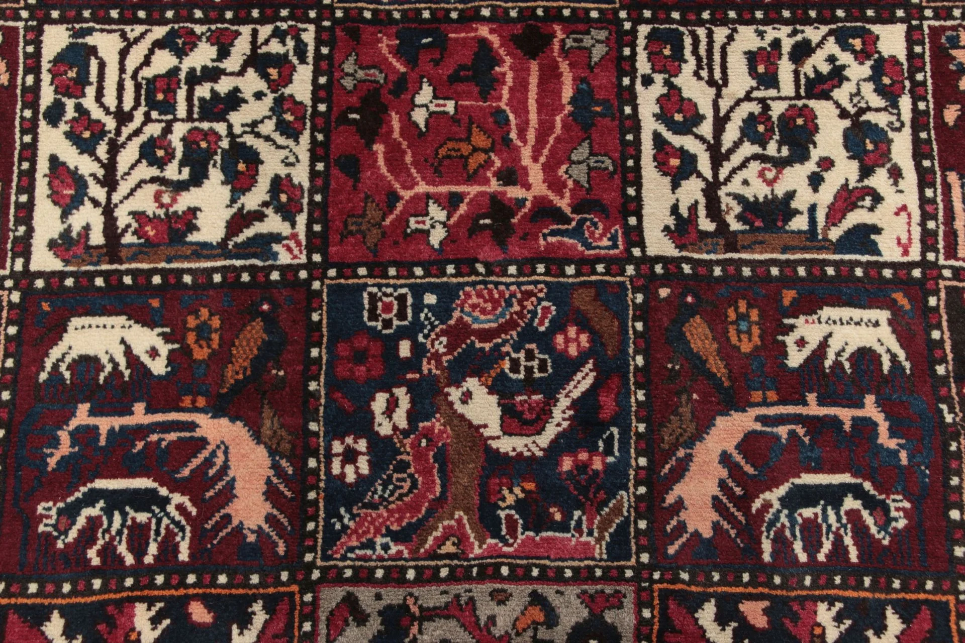 perserteppich-bachtiar-170-x-310-cm-schurwolle-handgeknupft-neu-2 Bakhtiari Persian Rug 170 × 310 cm, Wool, hand-knotted