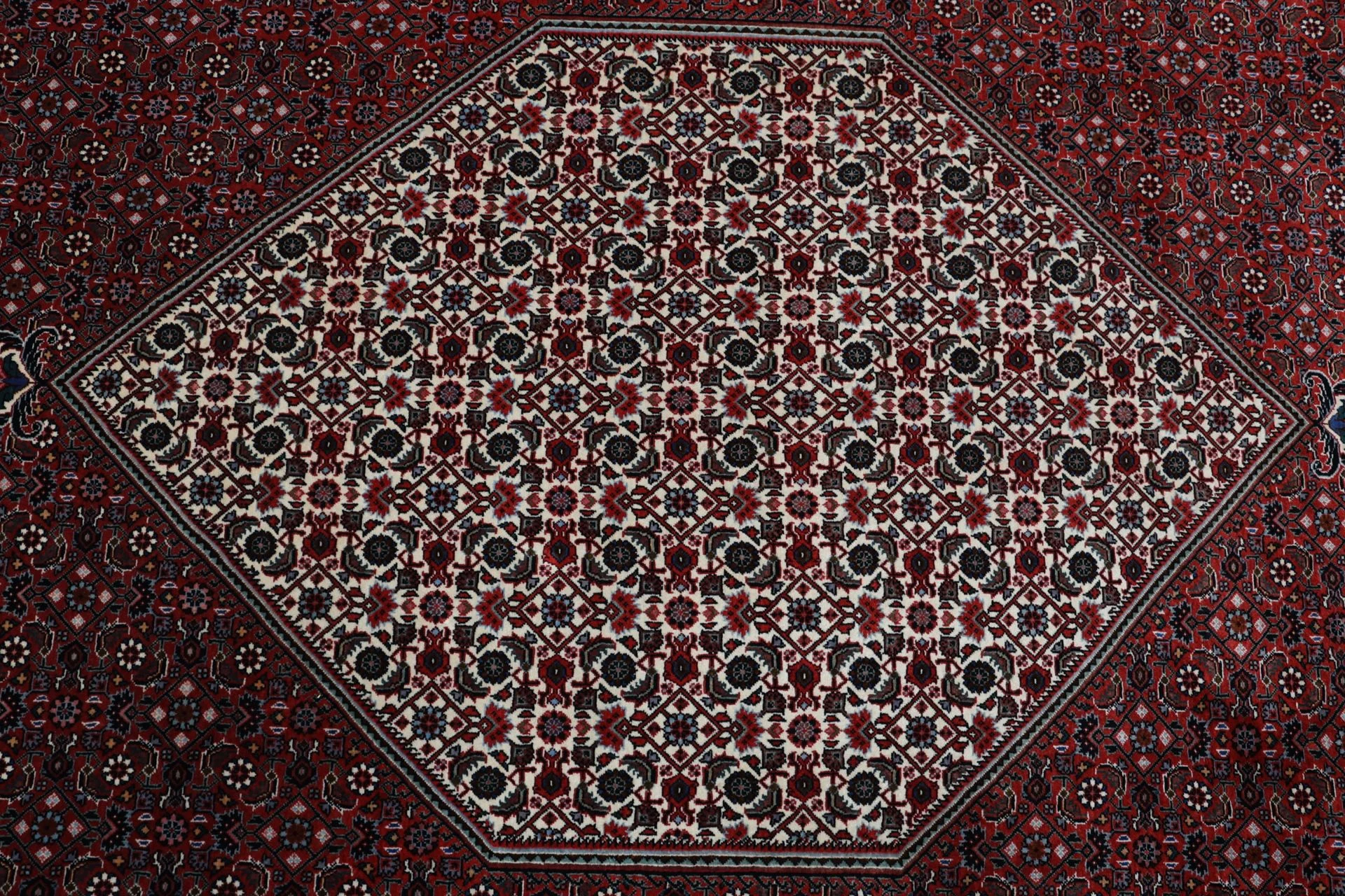 Hand-Knotted Wool Bijar Persian Rug, 250 × 350 cm