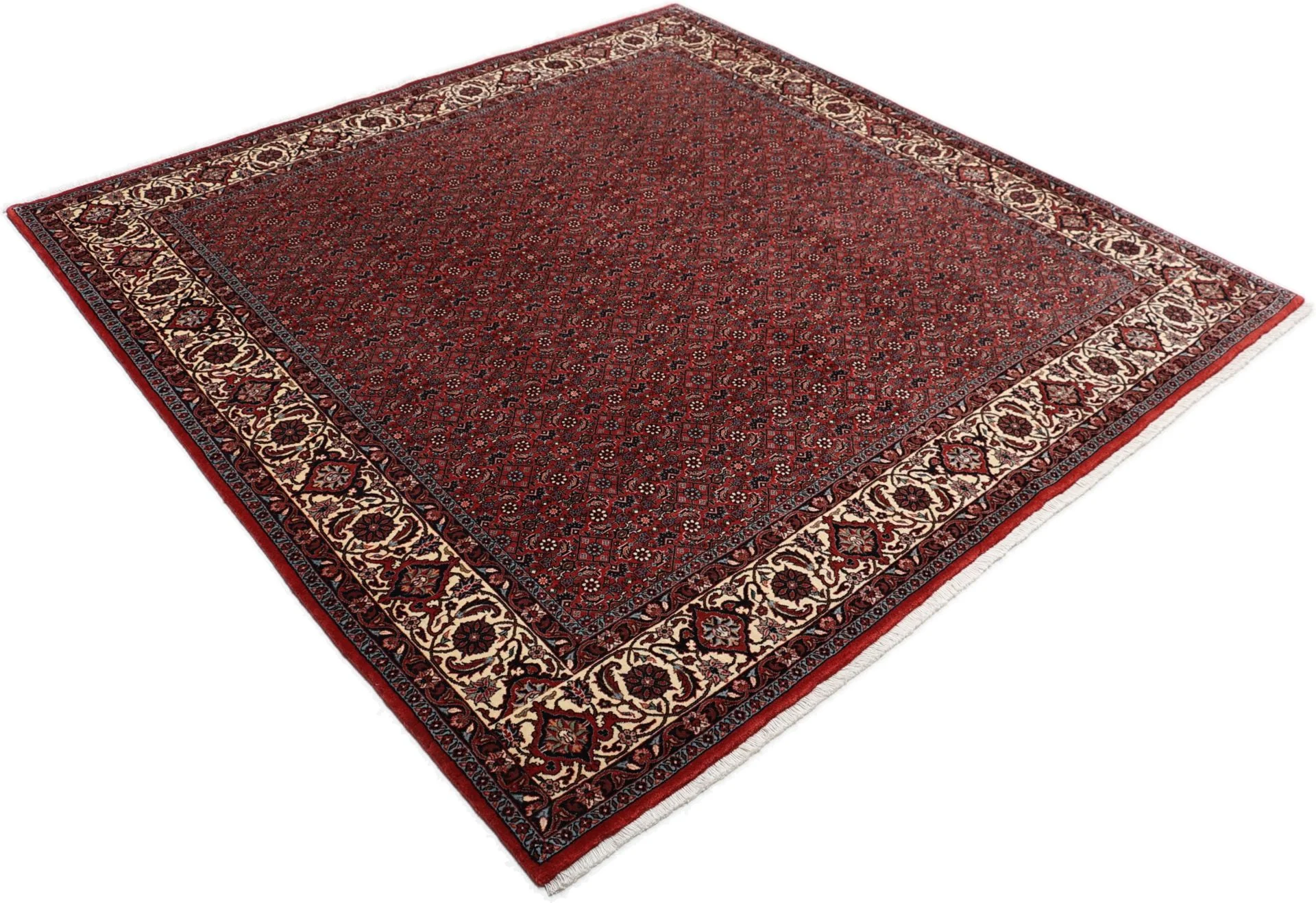 perserteppich-bidjar-204-x-205-cm-schurwolle-handgeknupft-3 Bijar Persian Rug 204 × 205 cm, Wool, hand-knotted