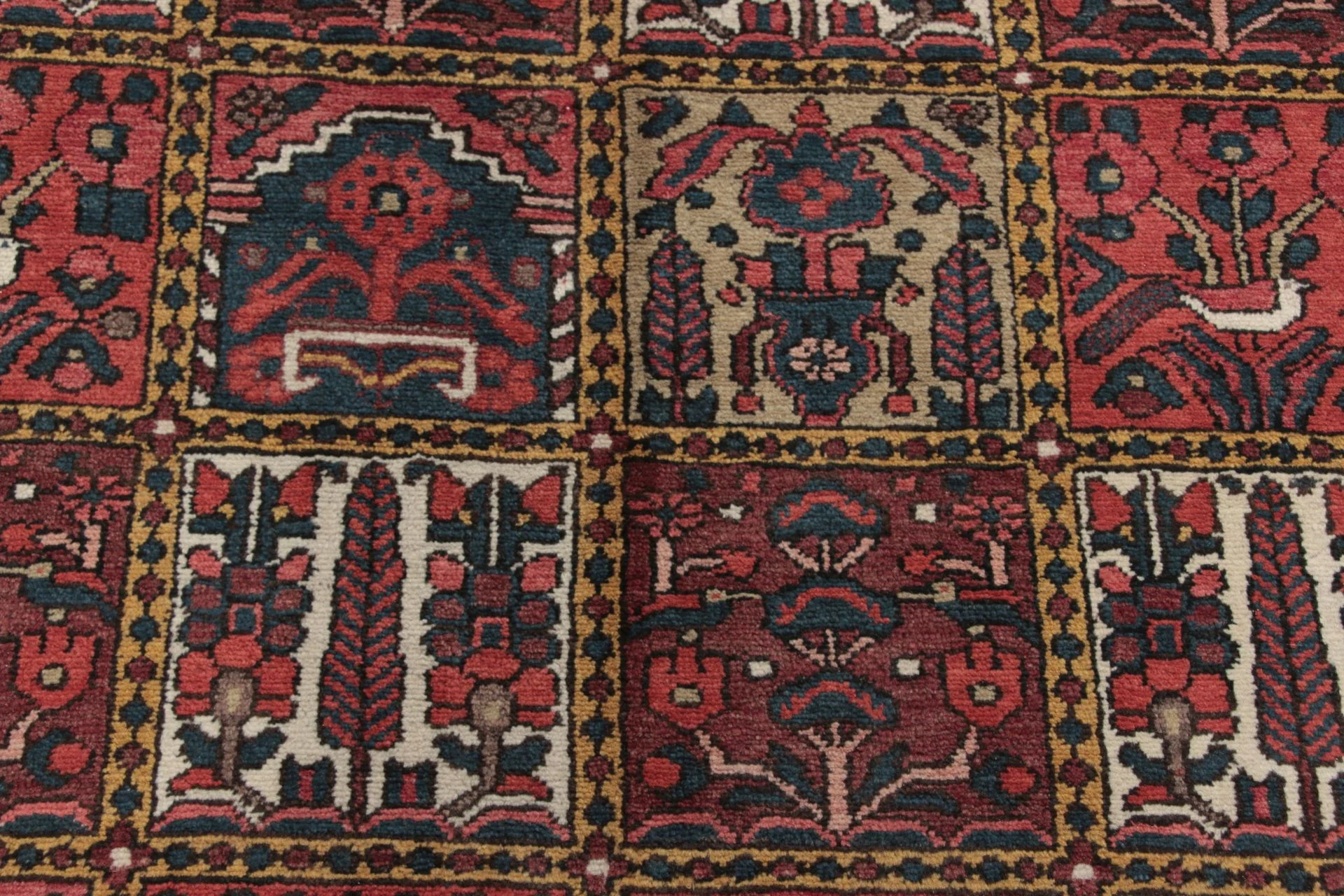 perserteppich-bachtiar-167-x-292-cm-schurwolle-handgeknupft-1 Bakhtiari Persian Rug — hand-knotted, 167 × 292 cm, Wool