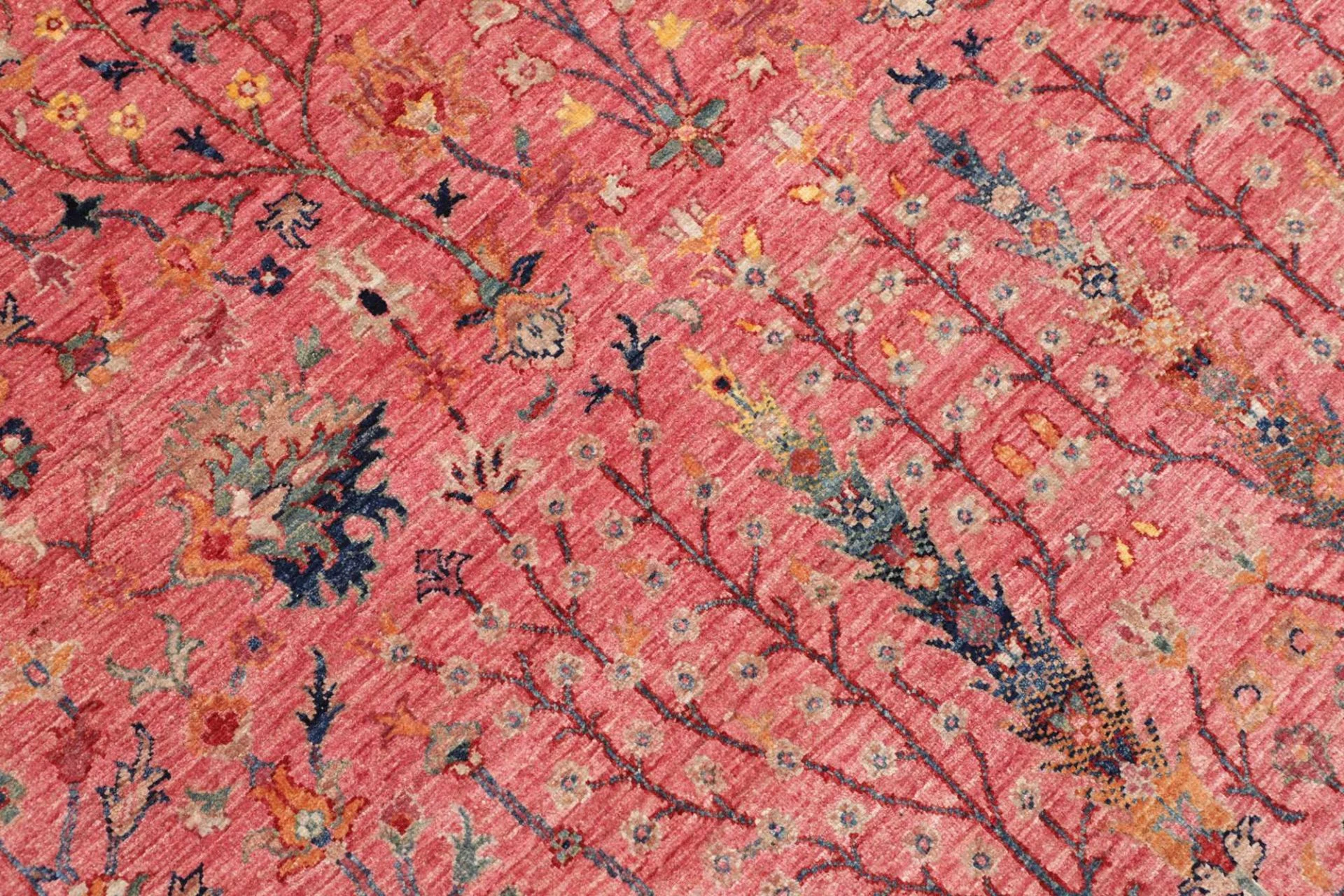 Samarkand Pakistani Rug 251 × 309 cm, Wool, hand-knotted