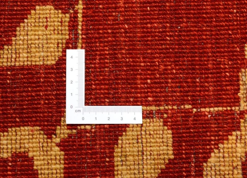 orientteppich-ziegler-247-x-305-cm-schurwolle-handgeknupft-9 Ziegler Pakistani Rug 247 × 305 cm, Wool, hand-knotted