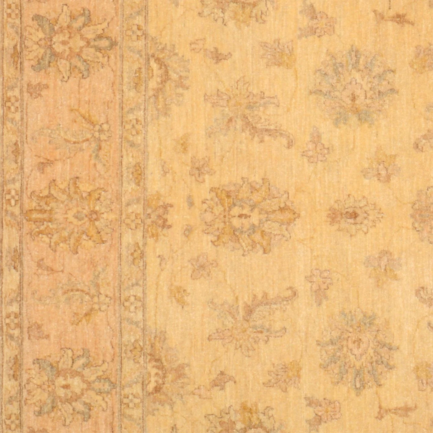 Hand-Knotted Wool Ziegler Pakistani Rug, 149 × 197 cm