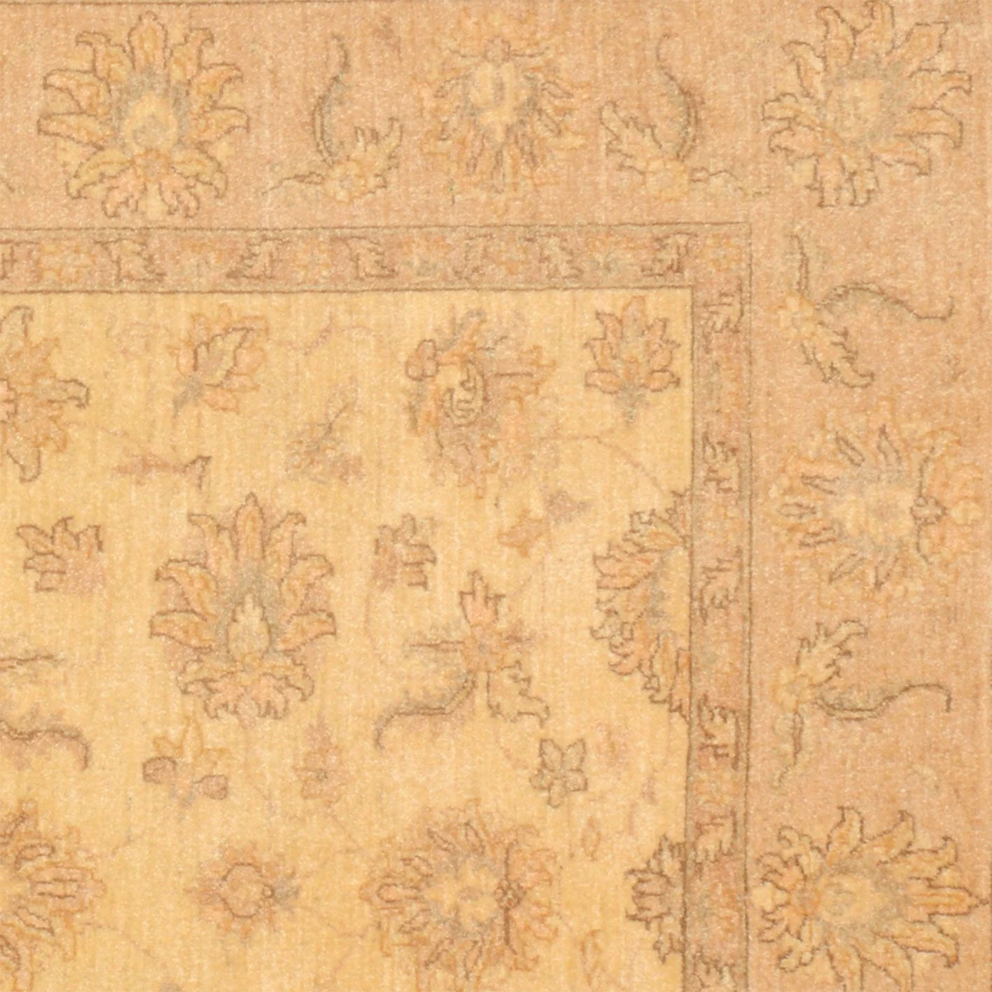 orientteppich-ziegler-150-x-193-cm-schurwolle-handgeknupft-6 Ziegler Pakistani Rug — hand-knotted, 150 × 193 cm, Wool