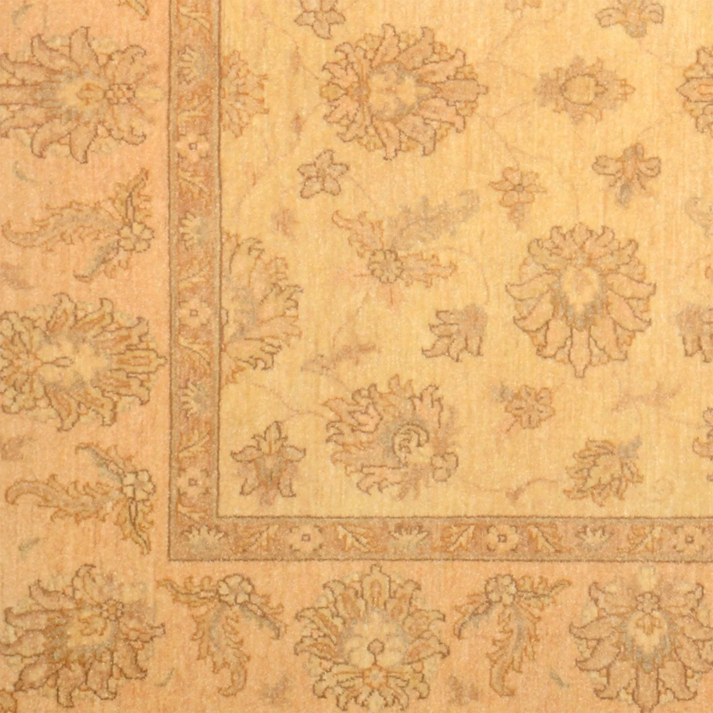 Ziegler Pakistani Rug 148 × 214 cm, Wool, hand-knotted