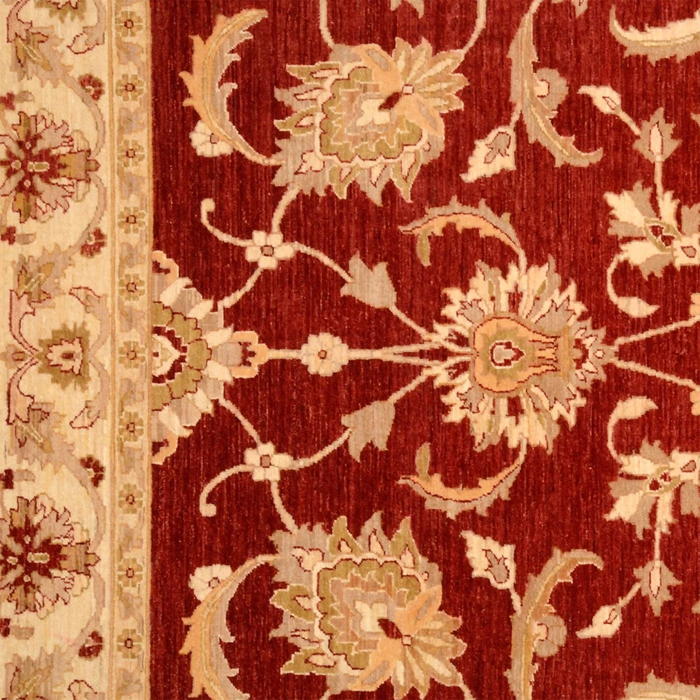 Ziegler Pakistani Rug — hand-knotted, 244 × 305 cm, Wool
