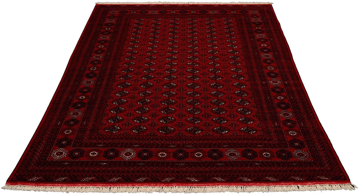 Afghan Rug — hand-knotted, 200 × 295 cm, Wool