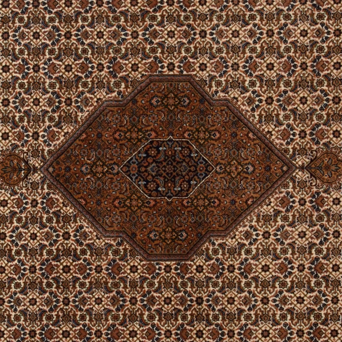 Bijar Indian Rug 198 × 288 cm, Wool, hand-knotted