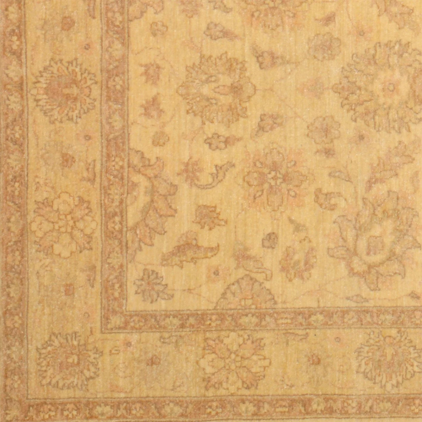 Ziegler Pakistani Rug — hand-knotted, 115 × 186 cm, Wool
