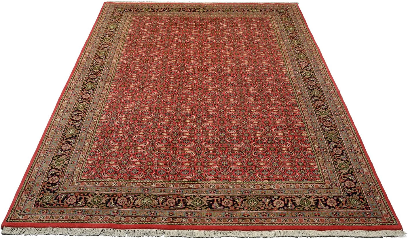 Bijar Indian Rug 208 × 300 cm, Wool, hand-knotted