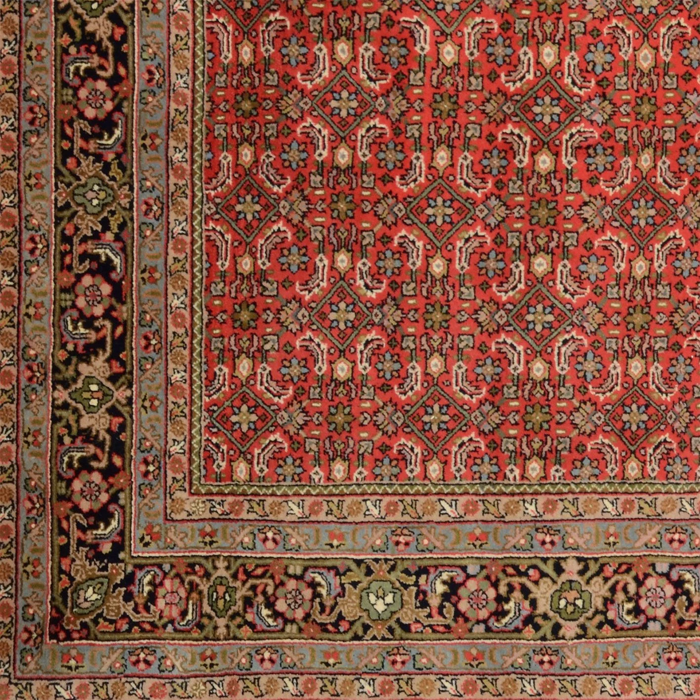 Bijar Indian Rug 208 × 300 cm, Wool, hand-knotted