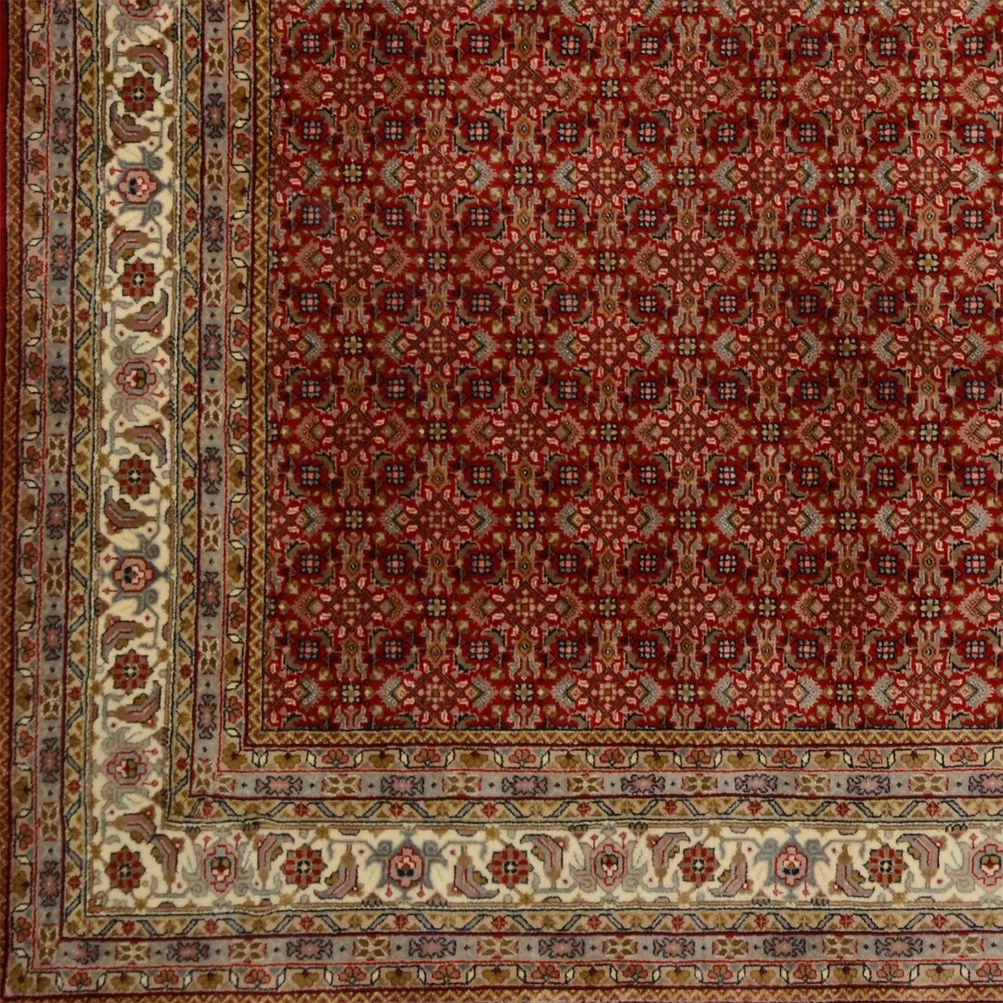 Tabriz Indian Rug — hand-knotted, 252 × 353 cm, Wool