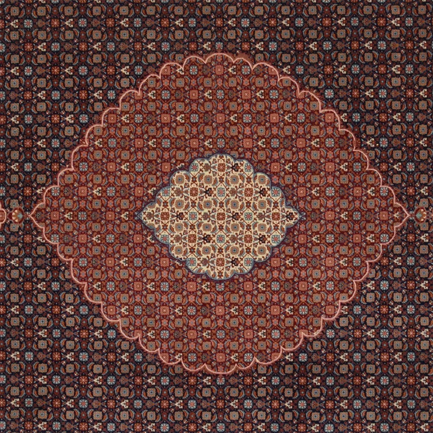 Tabriz Chinese Rug 264 × 339 cm, Wool, hand-knotted
