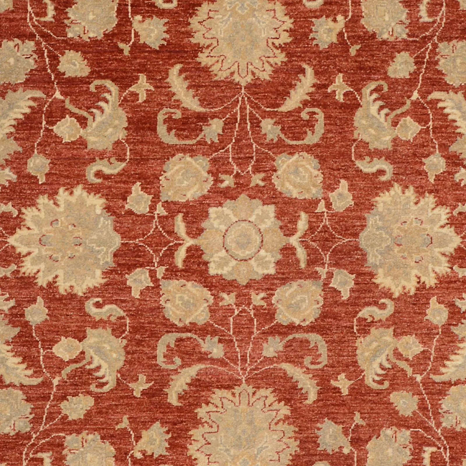 Ziegler Pakistani Rug — hand-knotted, 293 × 208 cm, Wool