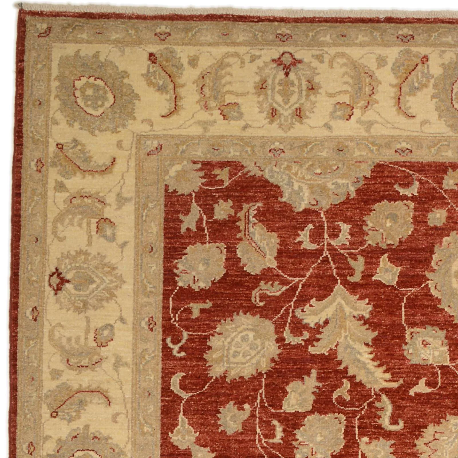 Ziegler Pakistani Rug — hand-knotted, 293 × 208 cm, Wool