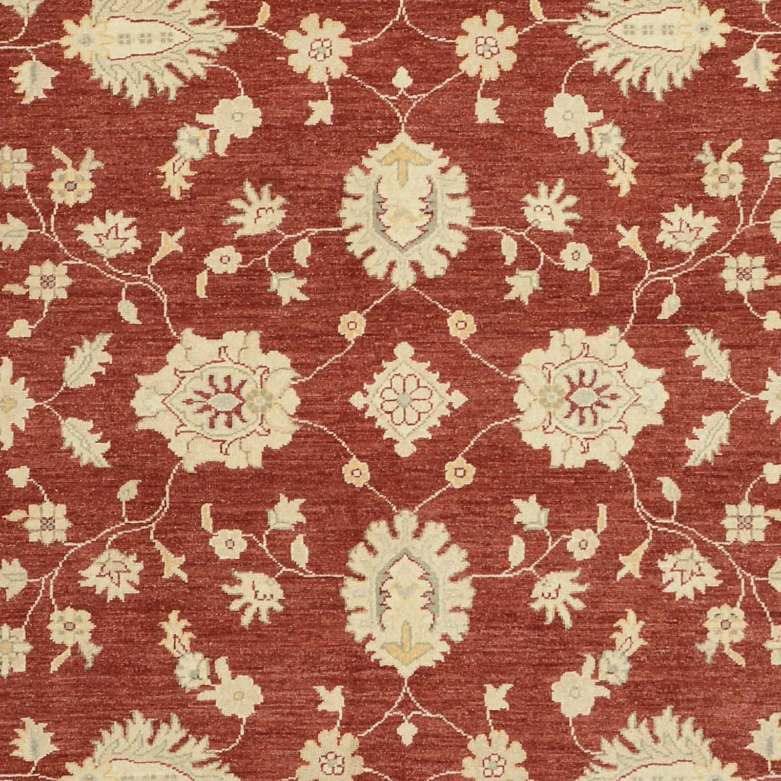 Hand-Knotted Wool Ziegler Pakistani Rug, 236 × 304 cm