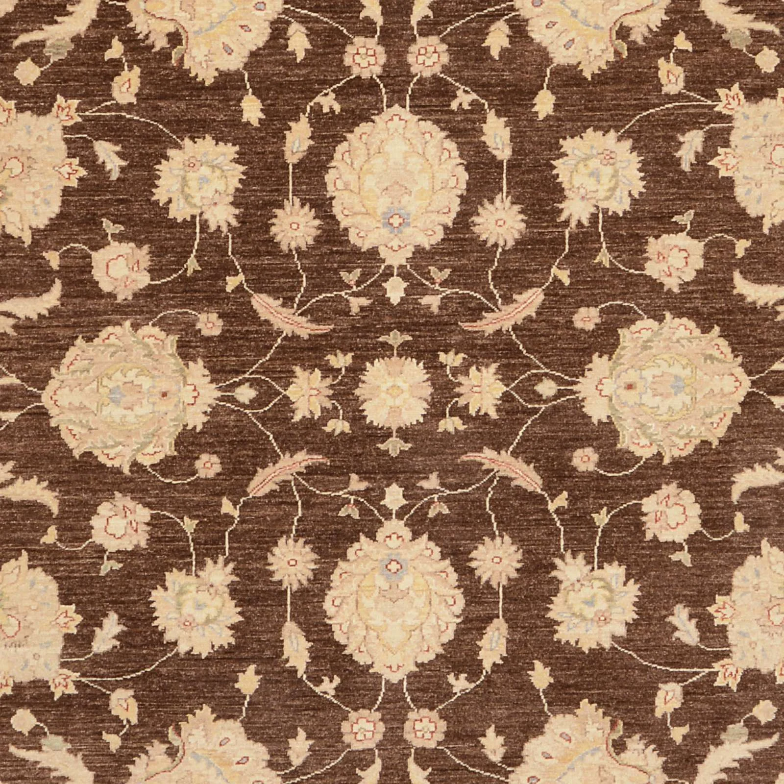 Ziegler Pakistani Rug 272 × 358 cm, Wool, hand-knotted