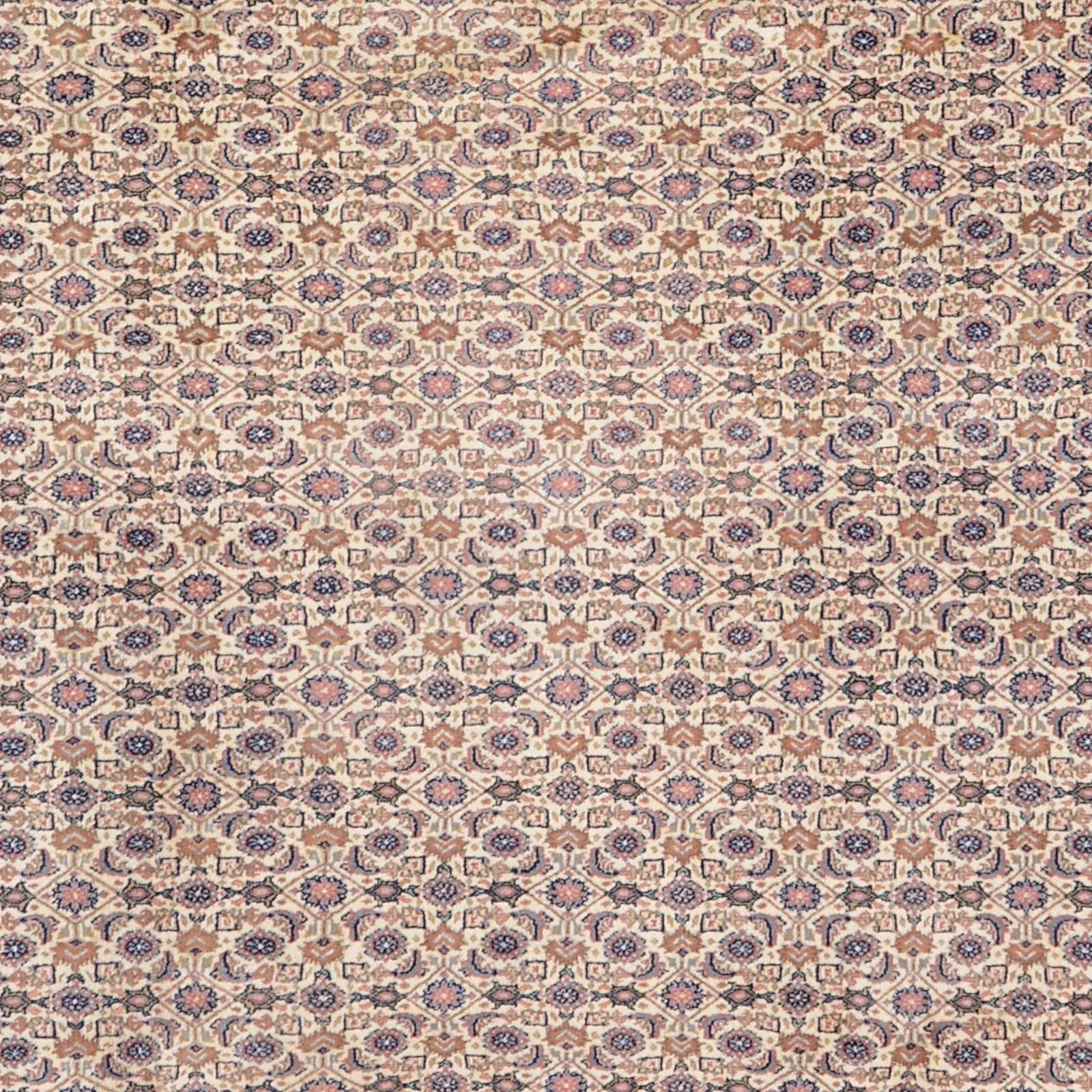 Bijar Indian Rug 250 × 350 cm, Wool, hand-knotted