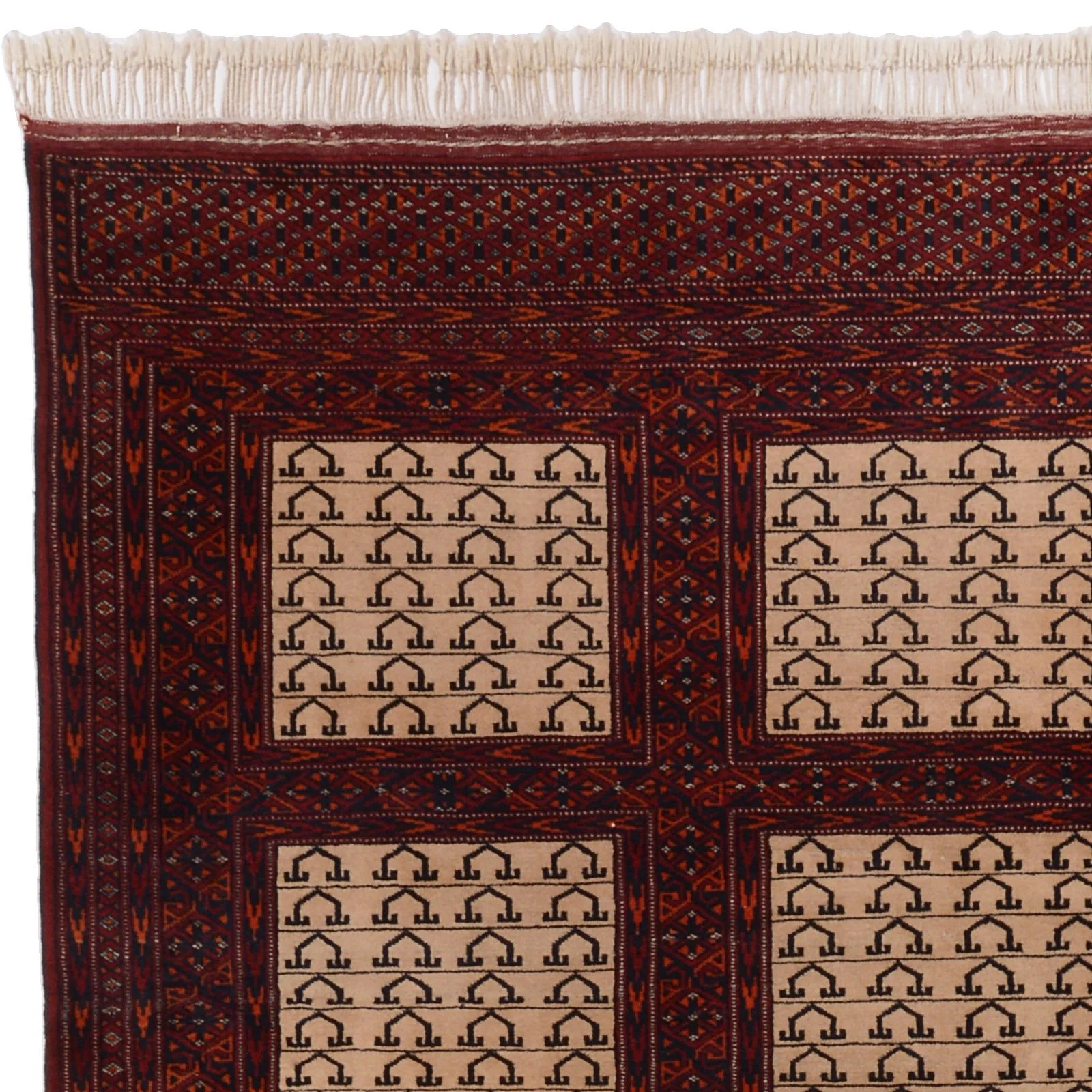 Afghan Rug — hand-knotted, 189 × 280 cm, Wool