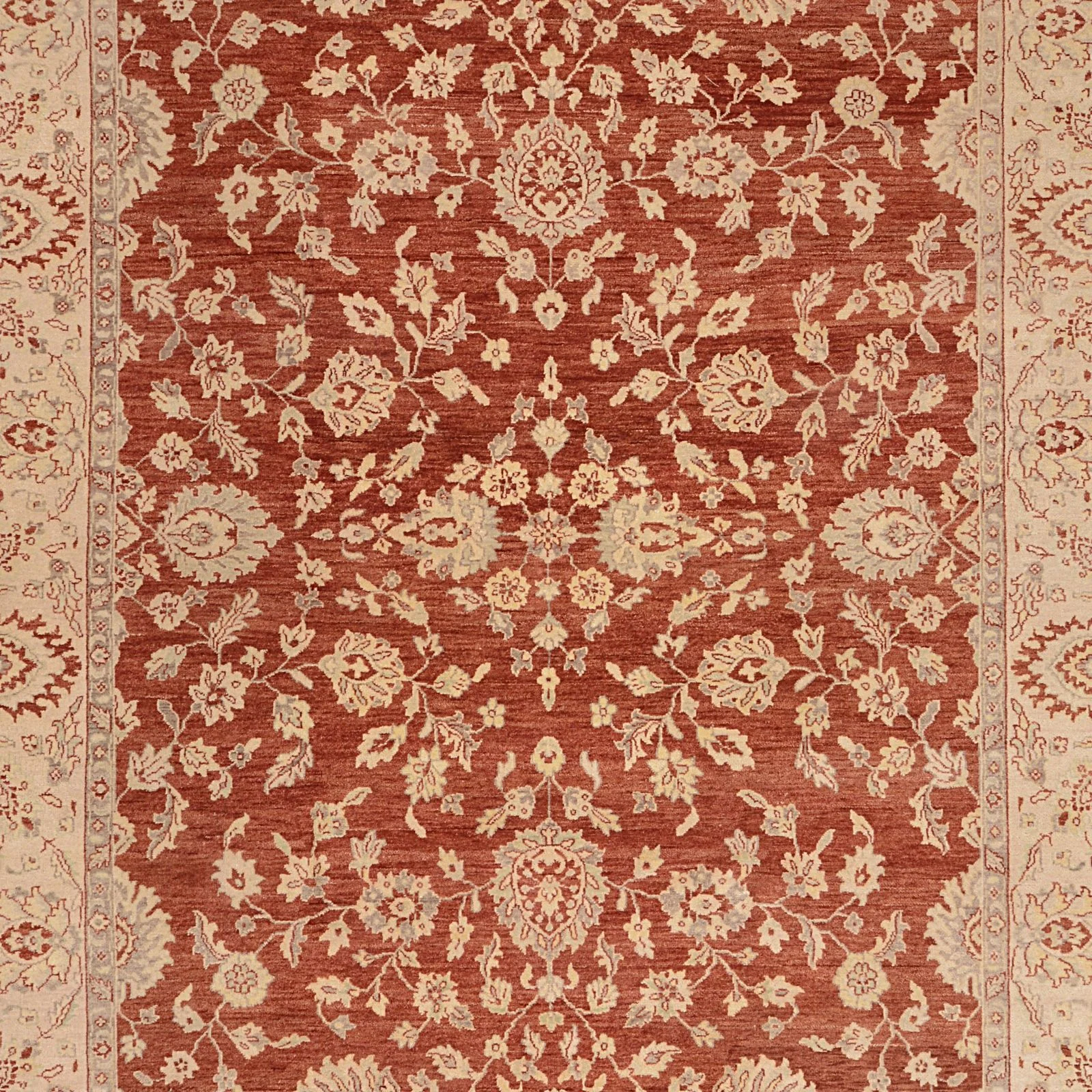 orientteppich-ziegler-244-x-300-cm-schurwolle-handgeknupft-11 Hand-Knotted Wool Ziegler Pakistani Rug, 244 × 300 cm