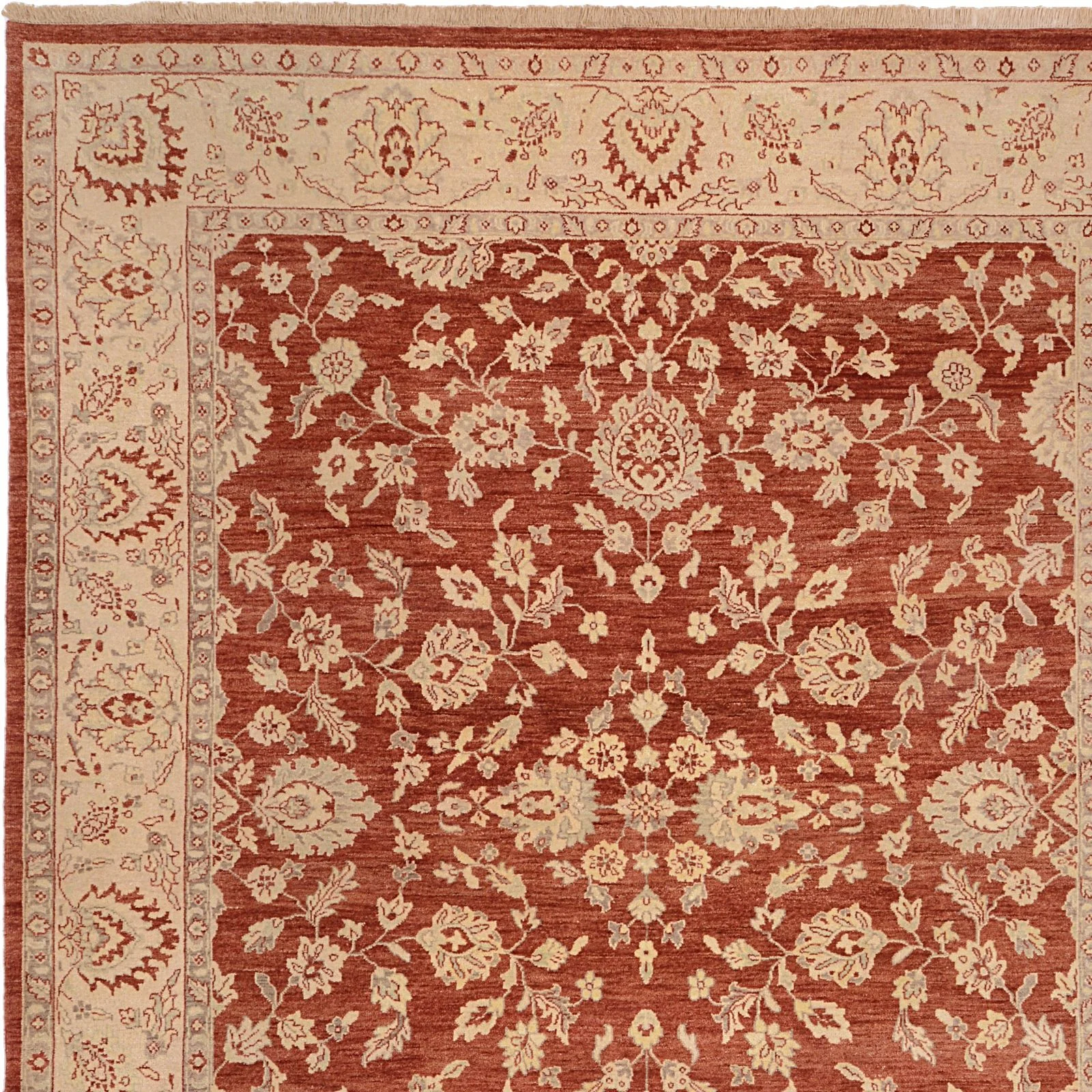 orientteppich-ziegler-244-x-300-cm-schurwolle-handgeknupft-12 Hand-Knotted Wool Ziegler Pakistani Rug, 244 × 300 cm