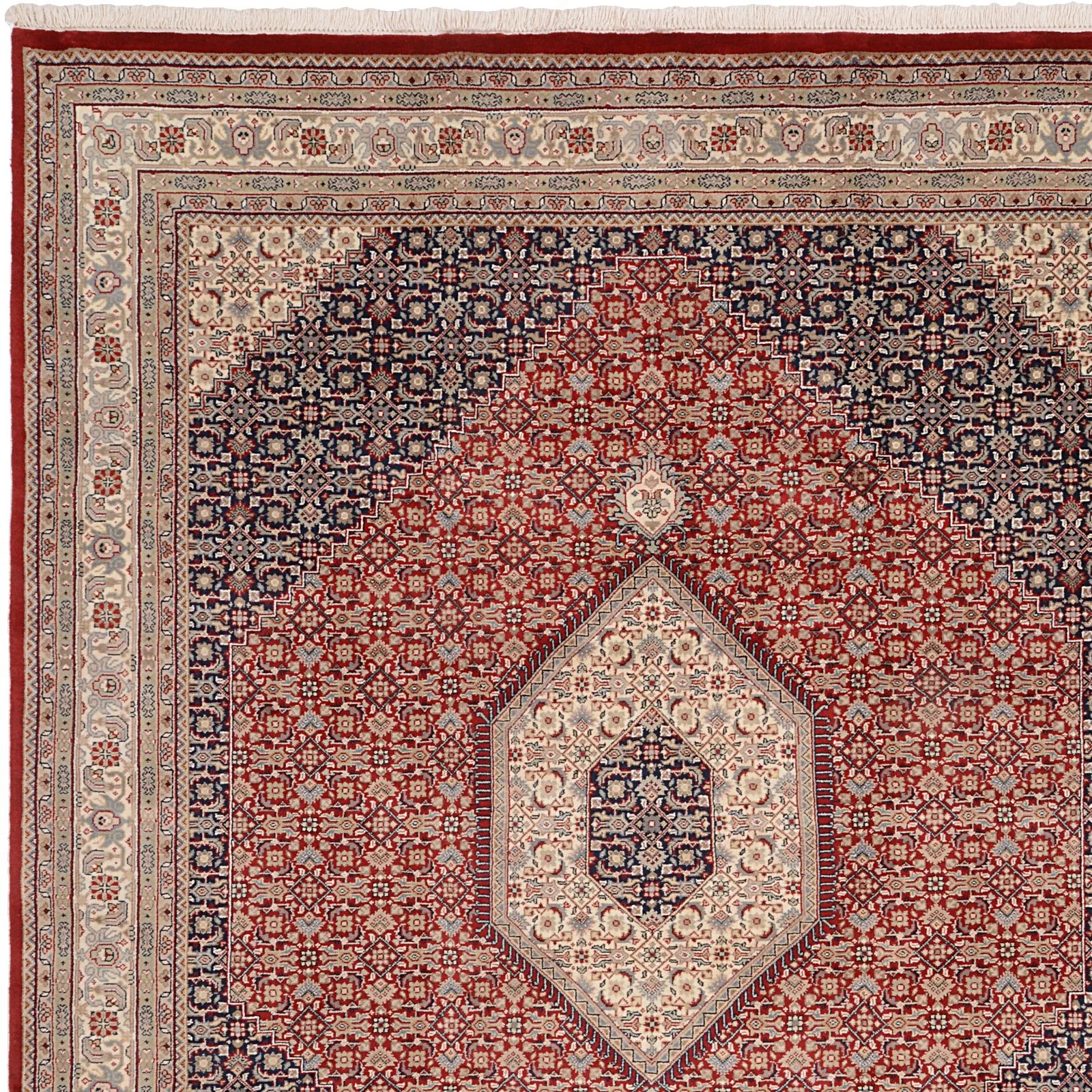 Tabriz Indian Rug 247 × 300 cm, Wool, hand-knotted