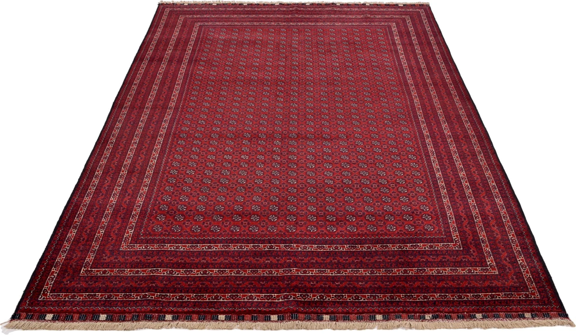 Afghan Rug — hand-knotted, 195 × 301 cm, Wool