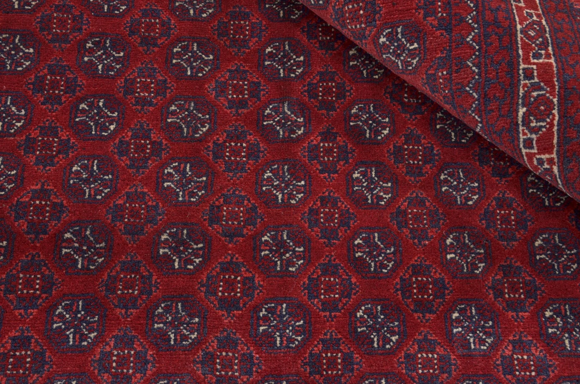 Afghan Rug — hand-knotted, 195 × 301 cm, Wool
