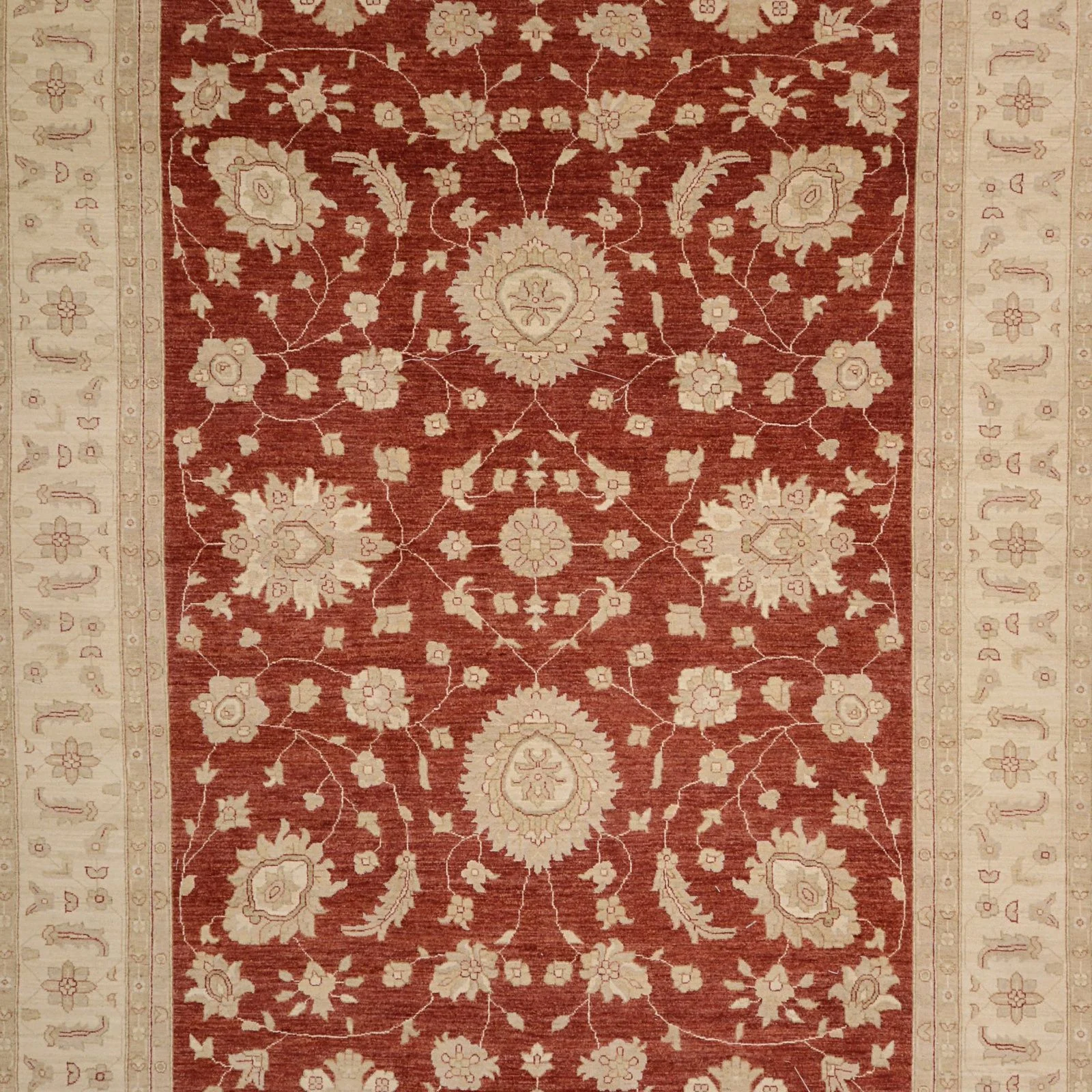 Hand-Knotted Wool Ziegler Pakistani Rug, 267 × 360 cm