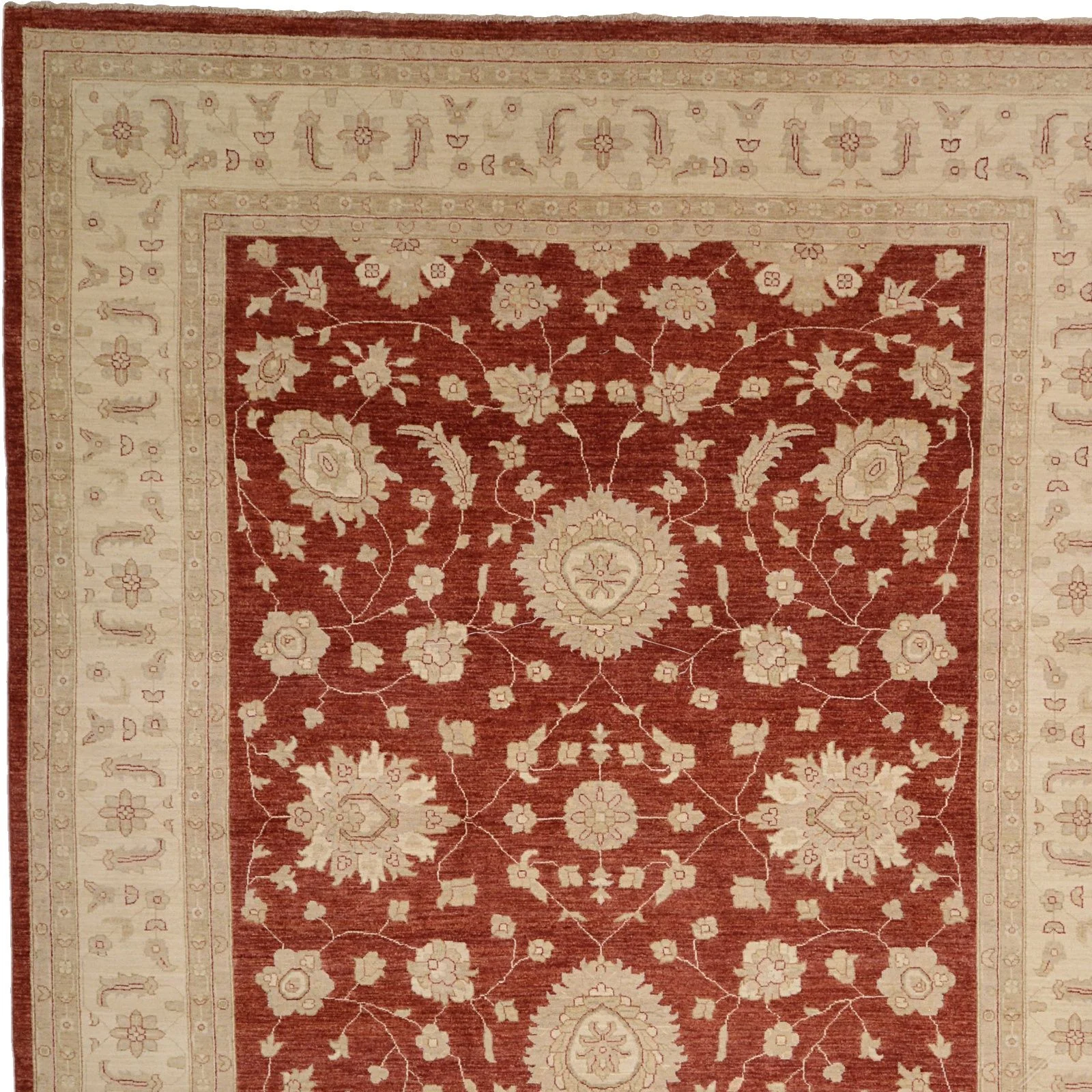 Hand-Knotted Wool Ziegler Pakistani Rug, 267 × 360 cm