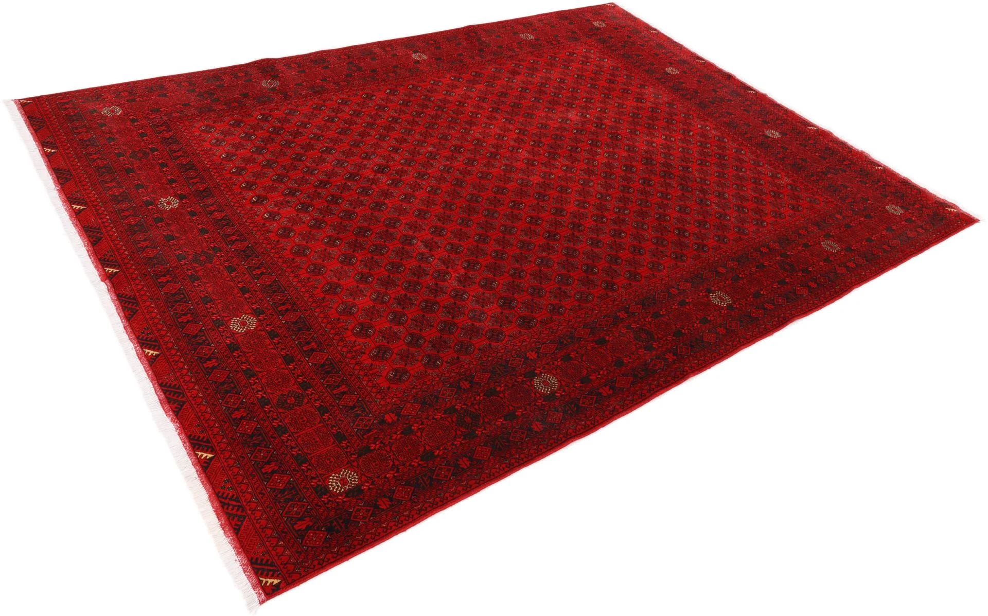 Afghan Rug — hand-knotted, 248 × 341 cm, Wool