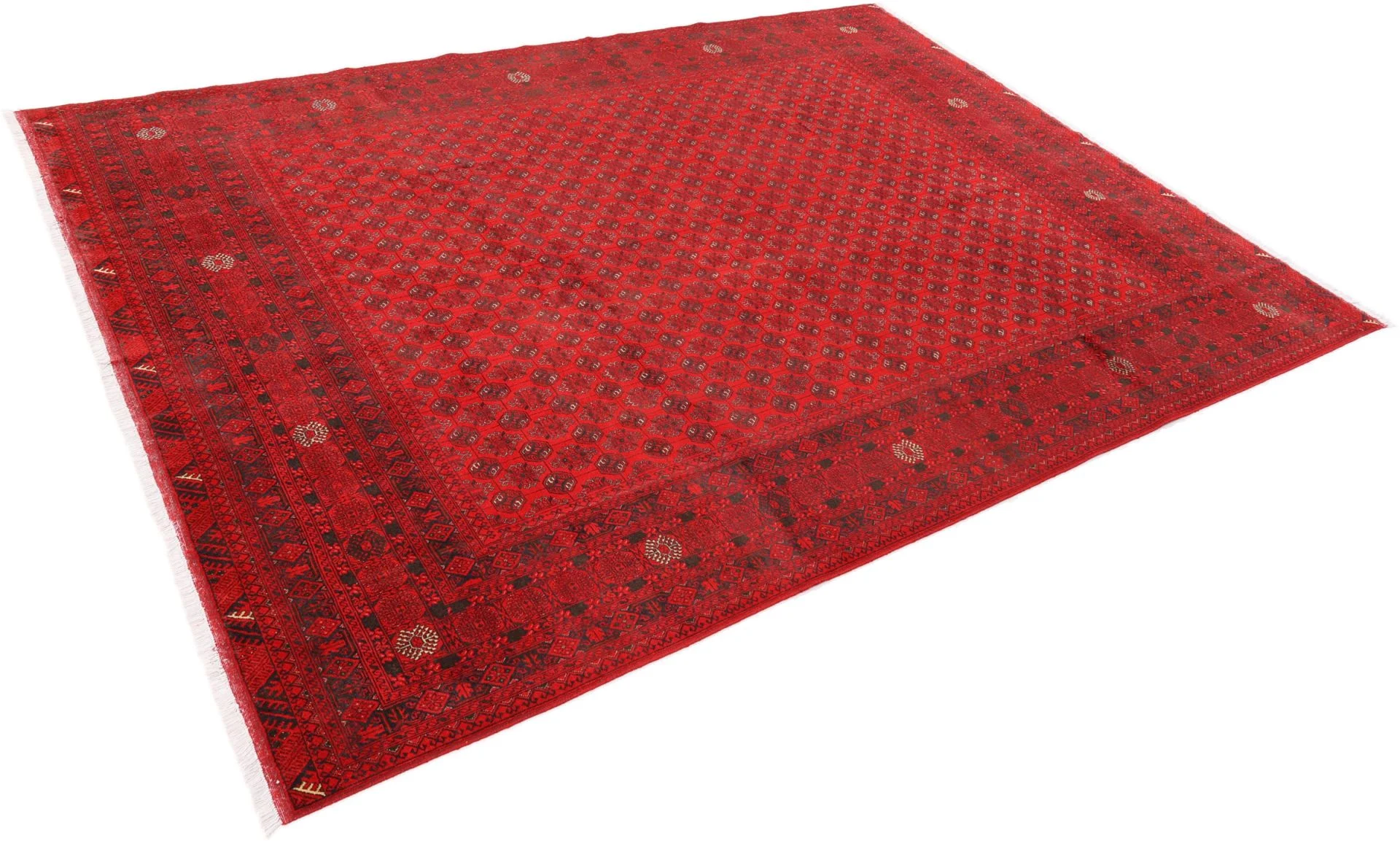 Afghan Rug — hand-knotted, 248 × 341 cm, Wool