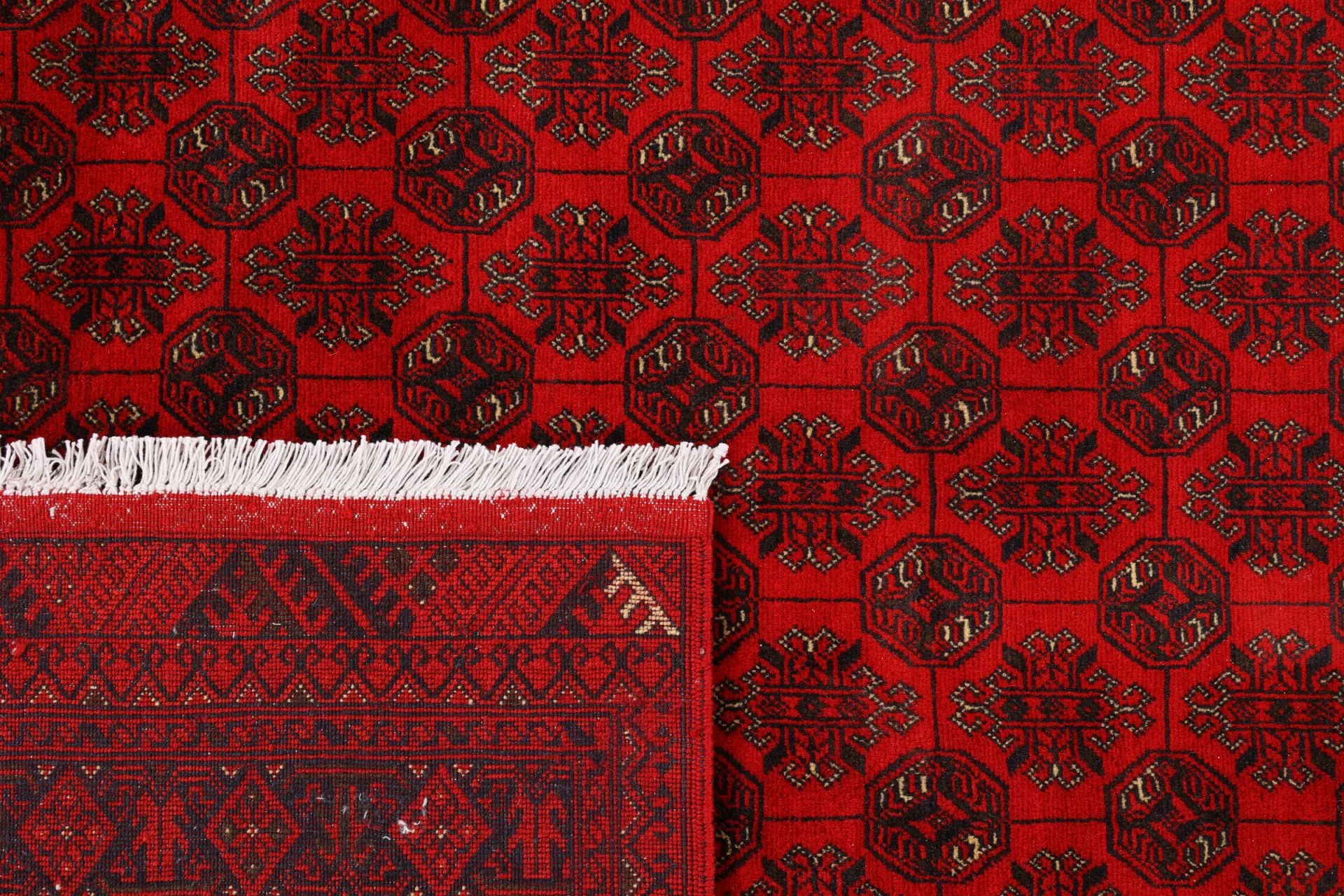 Afghan Rug — hand-knotted, 248 × 341 cm, Wool