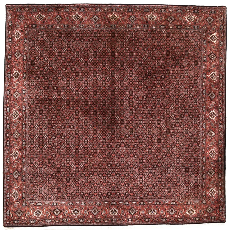 Bijar Persian Rug 255 × 255 cm, Wool, hand-knotted