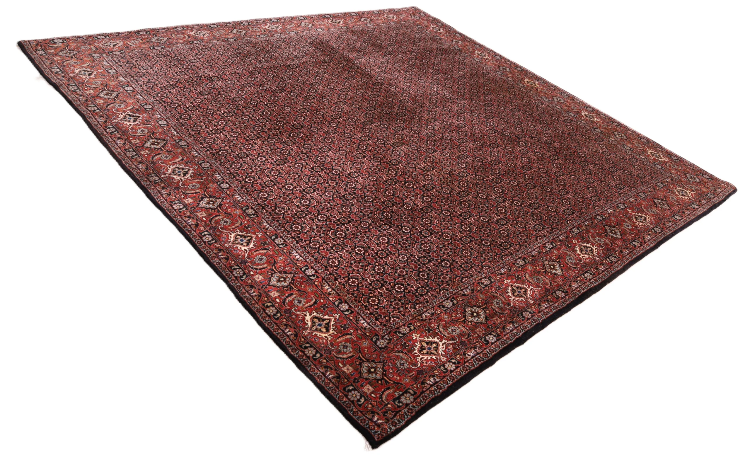 Bijar Persian Rug 255 × 255 cm, Wool, hand-knotted