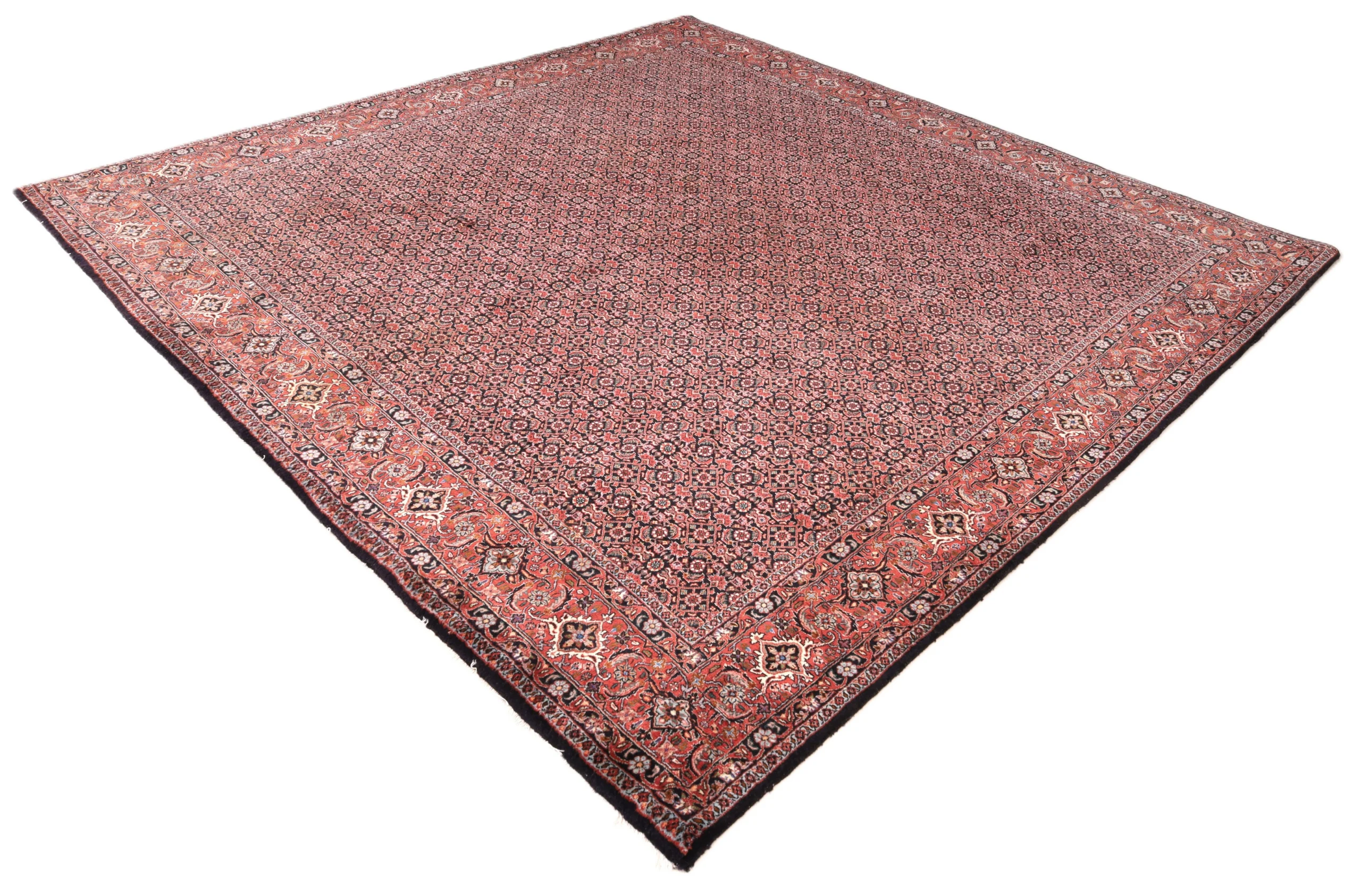 Bijar Persian Rug 255 × 255 cm, Wool, hand-knotted
