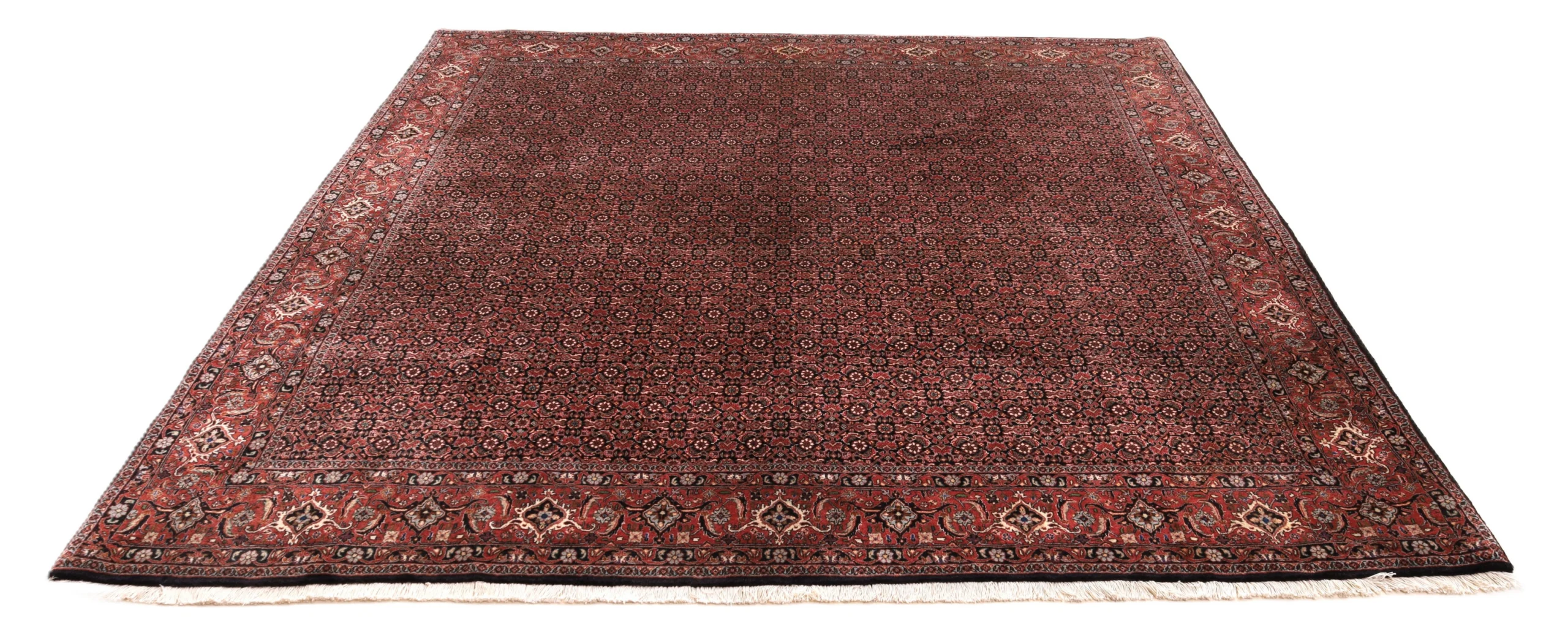 Bijar Persian Rug 255 × 255 cm, Wool, hand-knotted