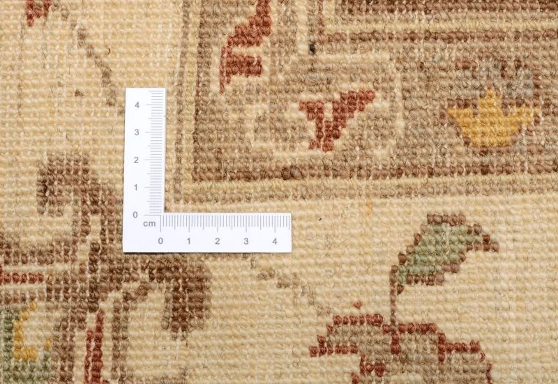 Hand-Knotted Wool Ziegler Pakistani Rug, 183 × 270 cm