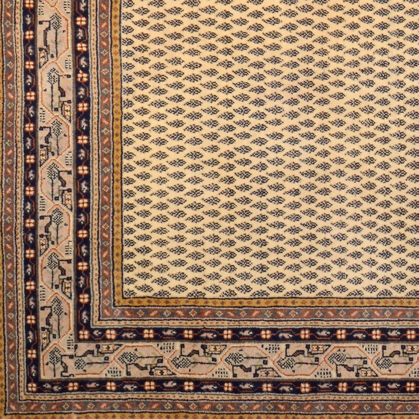 orientteppich-mir-199-x-254-cm-schurwolle-handgeknupft-langlebig-3 Hand-Knotted Wool Indian Rug, 199 × 254 cm