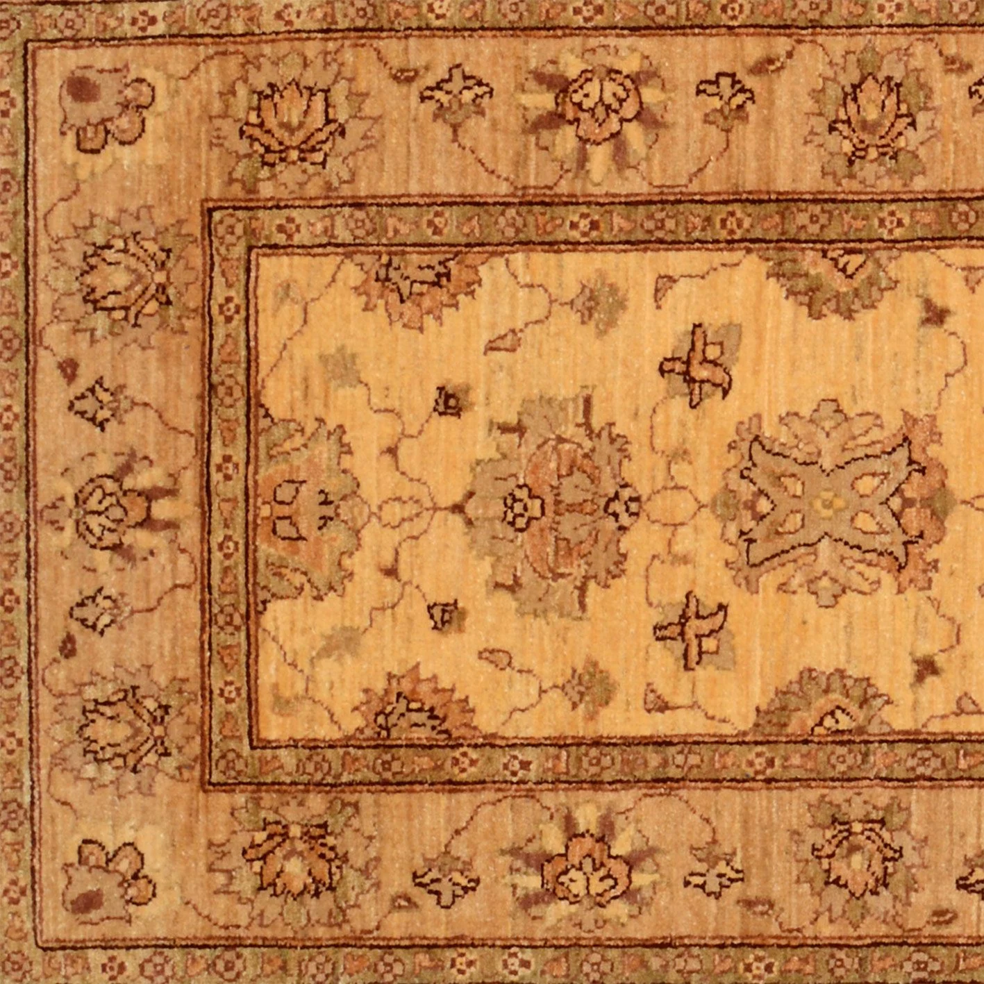 Hand-Knotted Wool Ziegler Pakistani Rug, 85 × 251 cm